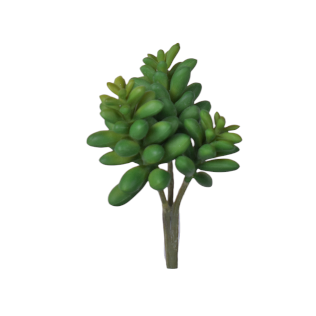 6” Multi Head Succulent-3 Heads MH1030