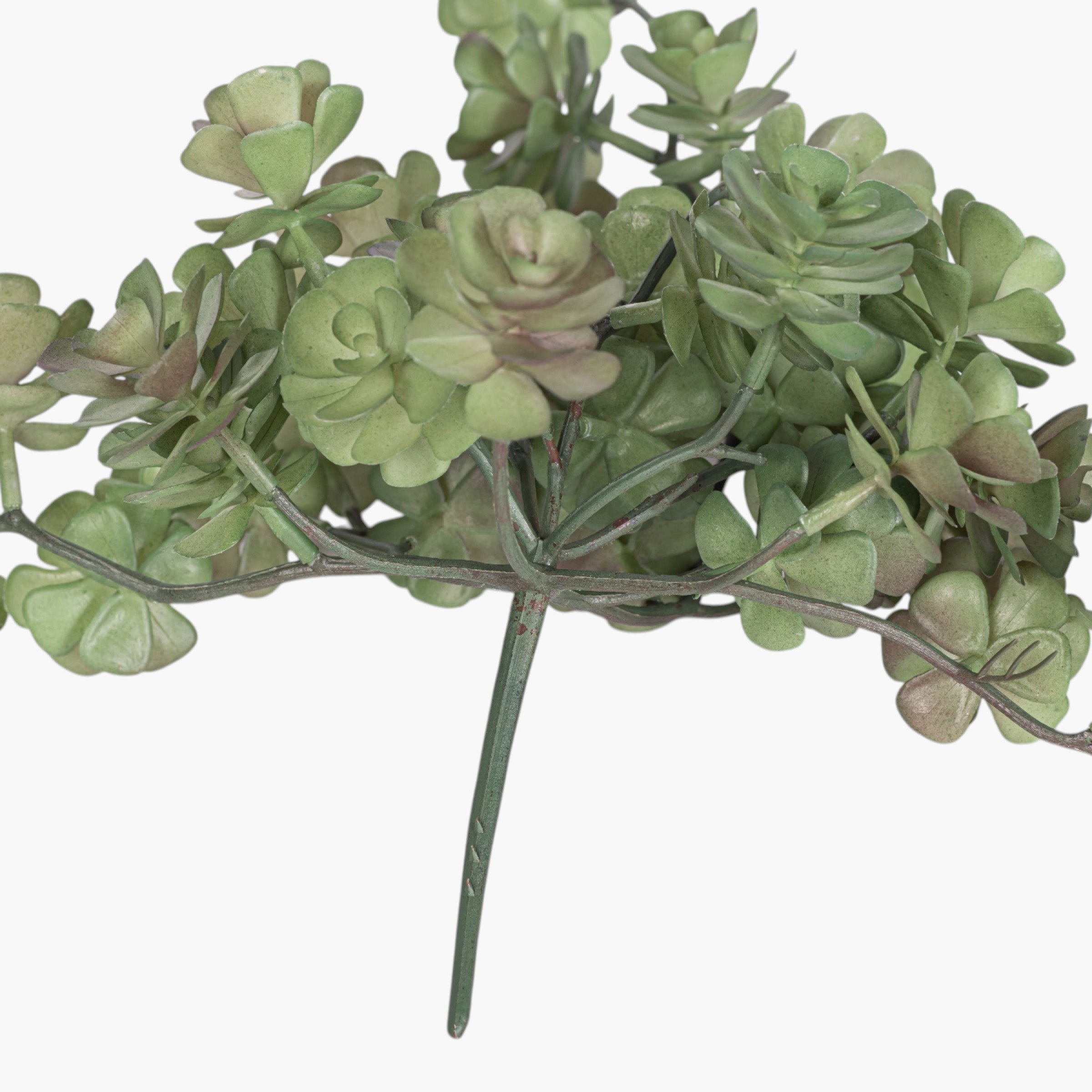 7.5" Multi-Head Succulent Stem MH1036