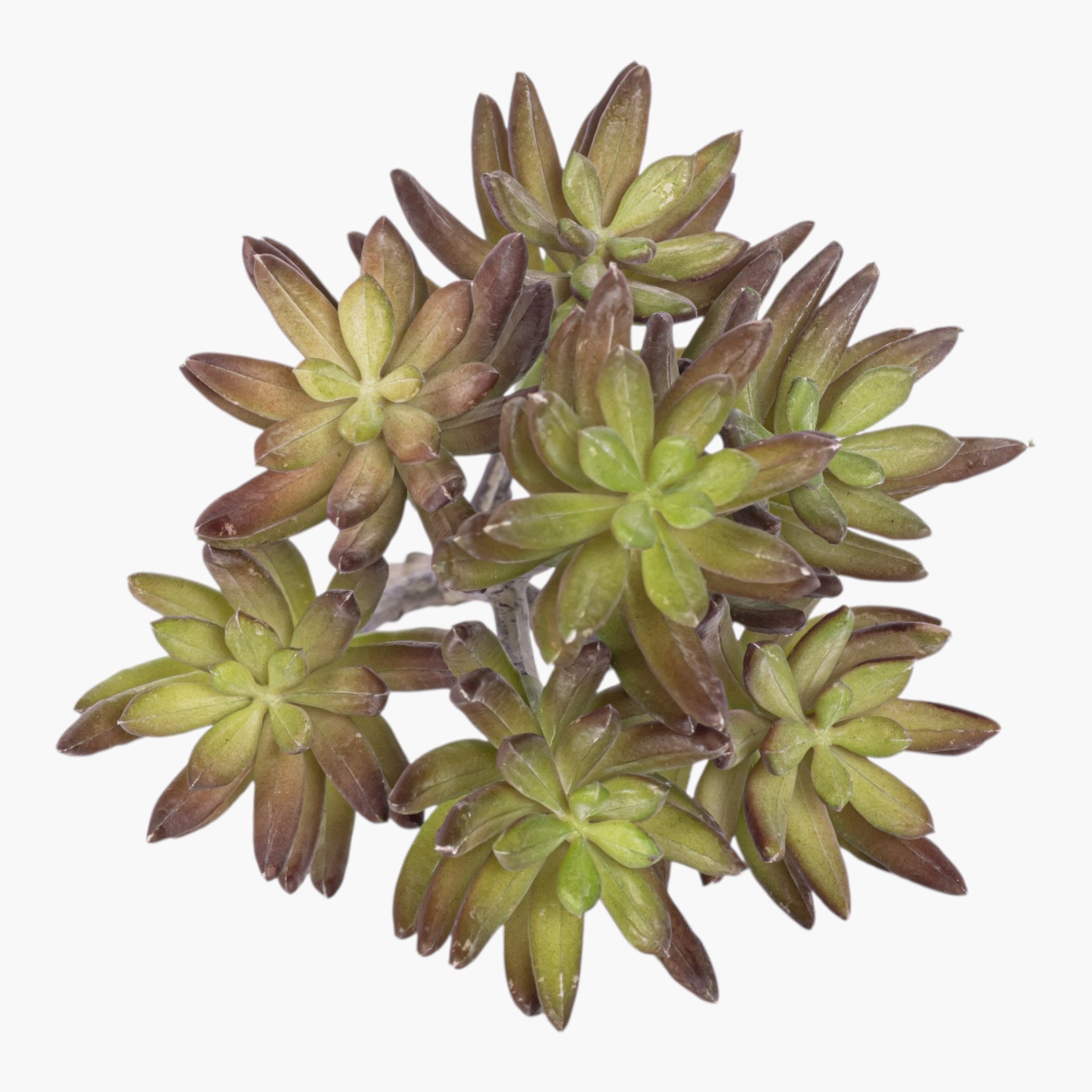 9" Multi-Head Succulent Stem MH1037