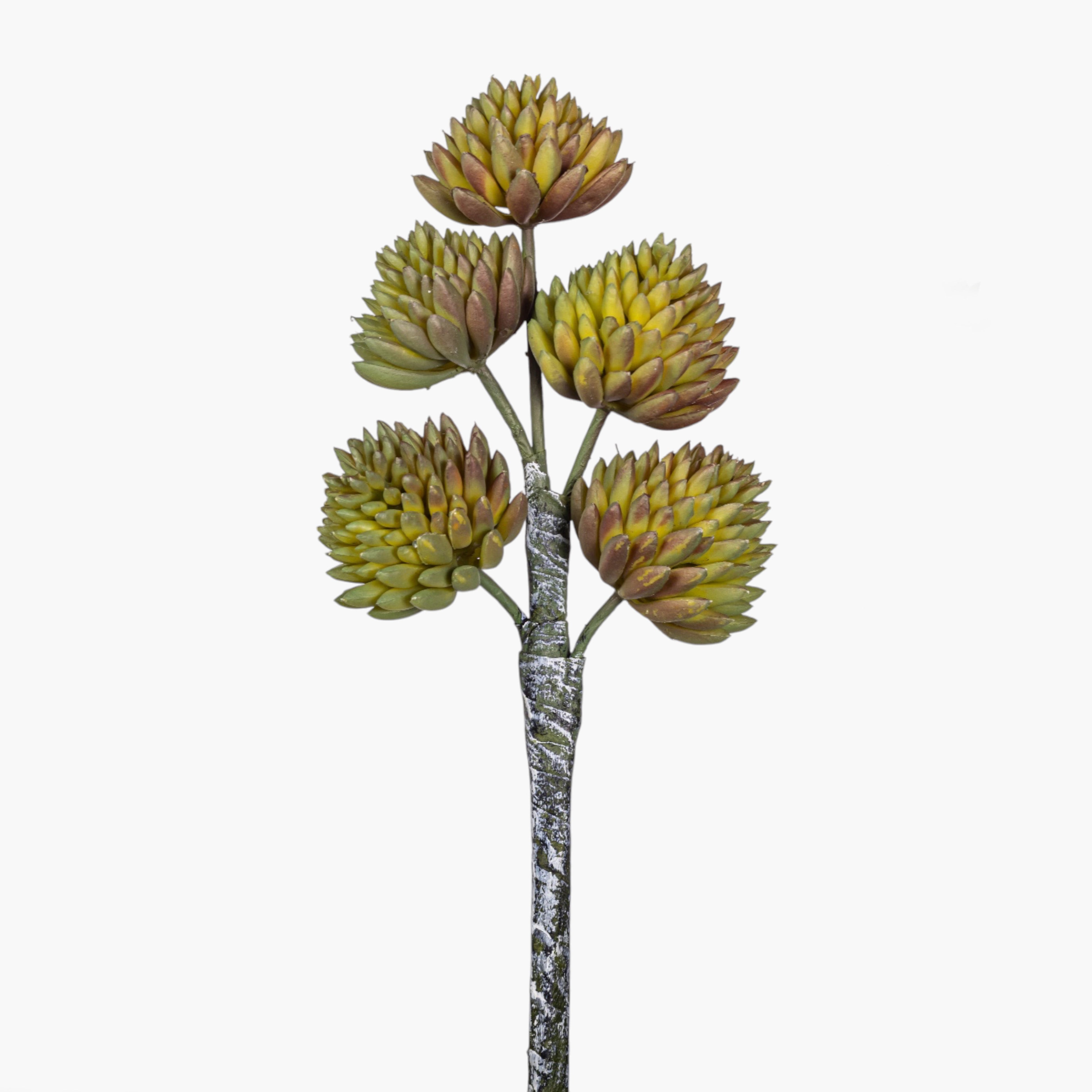 8" Multi-Head Succulent Stem MH1040