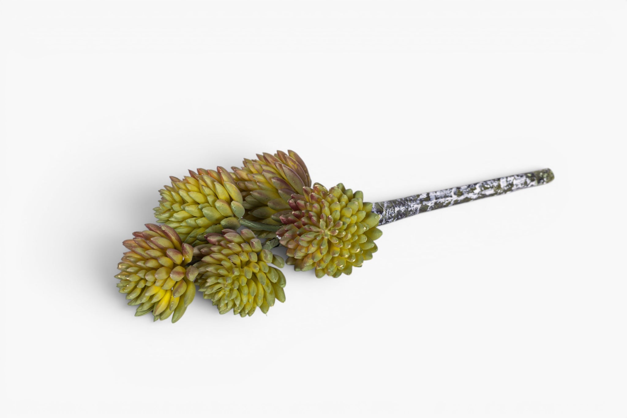 8" Multi-Head Succulent Stem MH1040