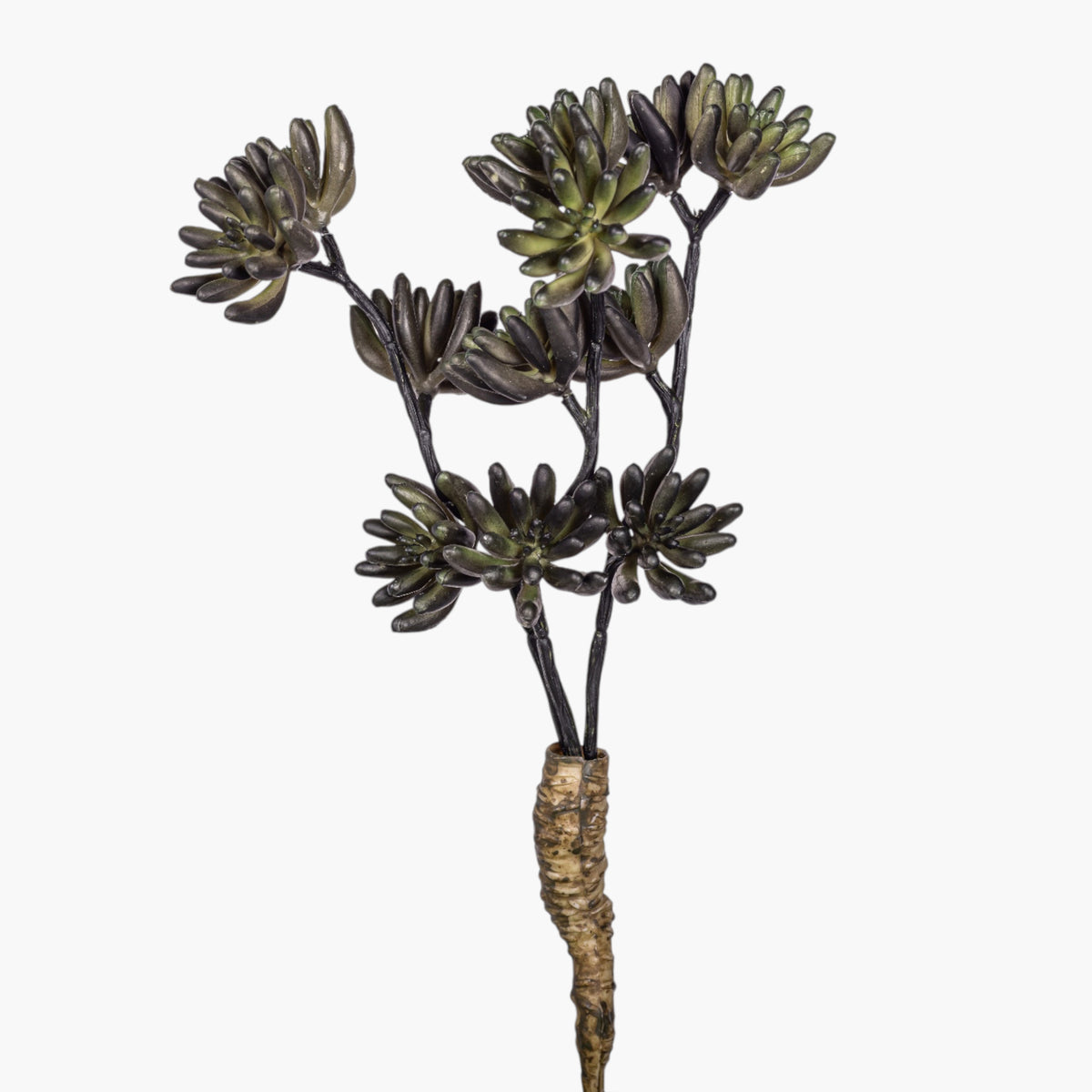 11" Multi-Head Succulent Stem MH1041