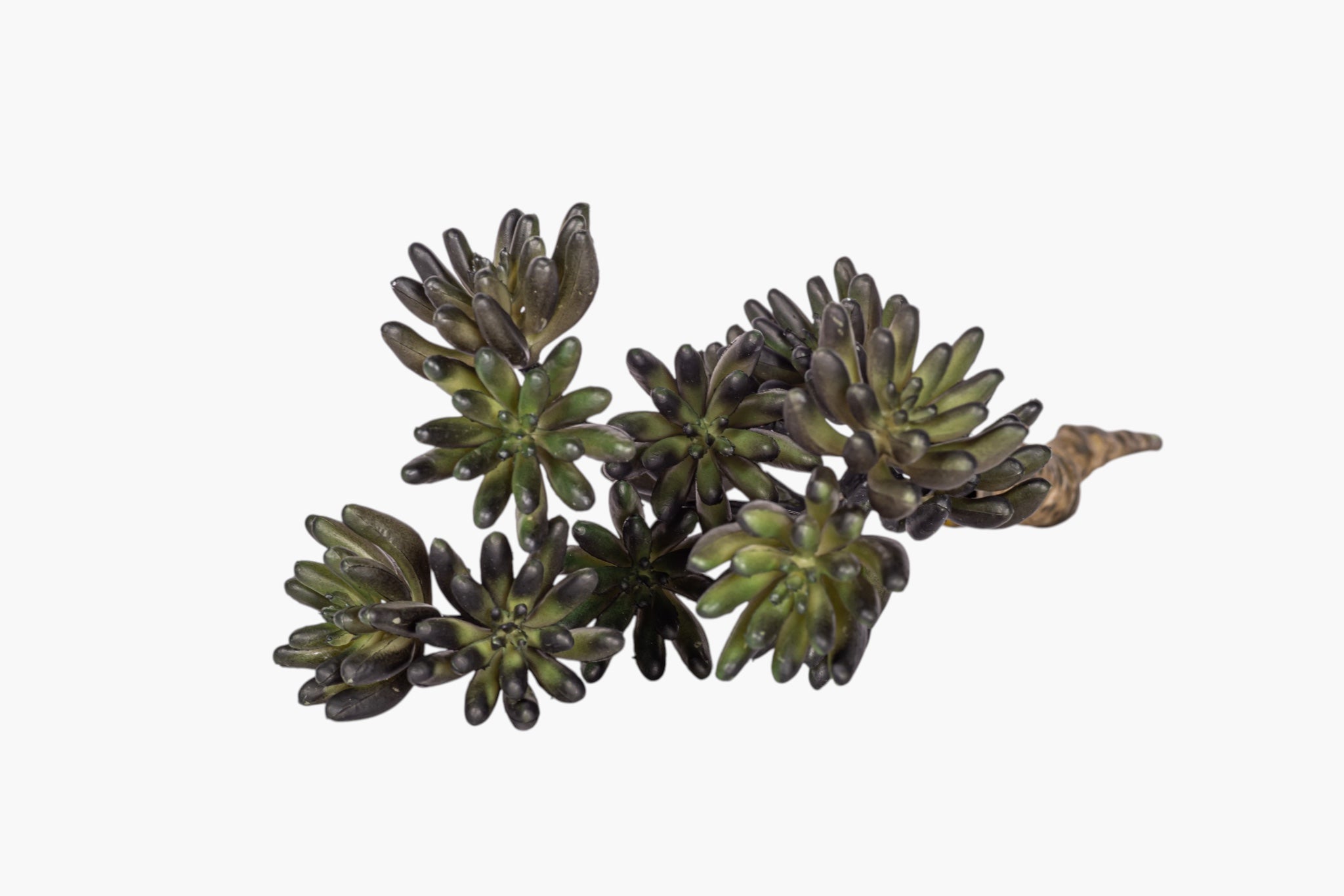 11" Multi-Head Succulent Stem MH1041
