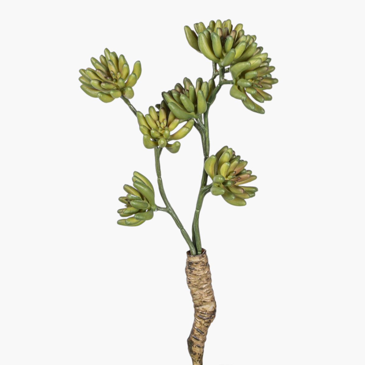11" Multi-Head Succulent Stem MH1042
