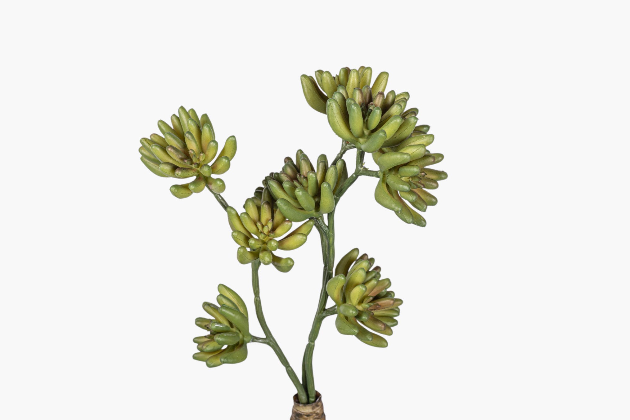 11" Multi-Head Succulent Stem MH1042