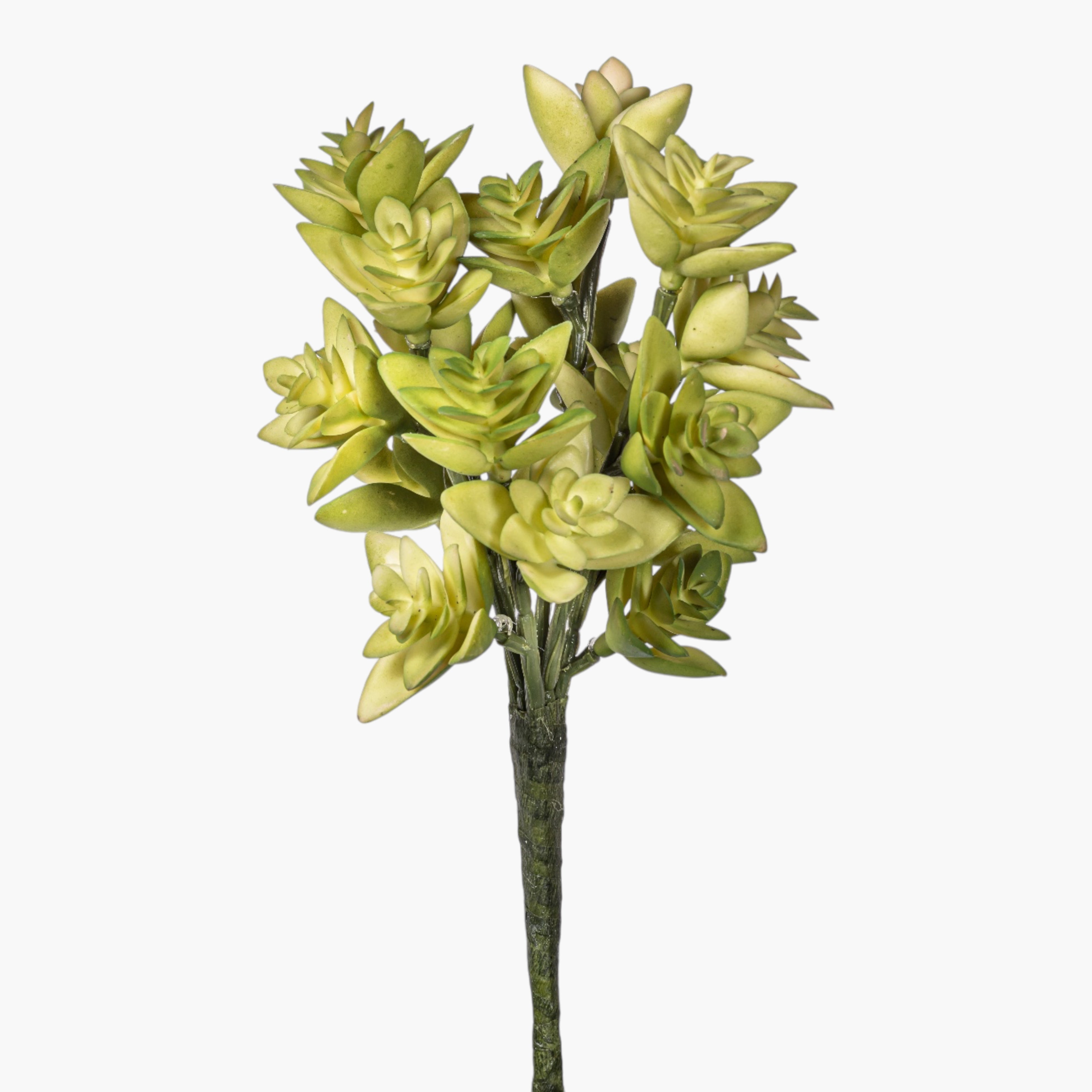 8" Multi-Head Succulent Stem MH1043
