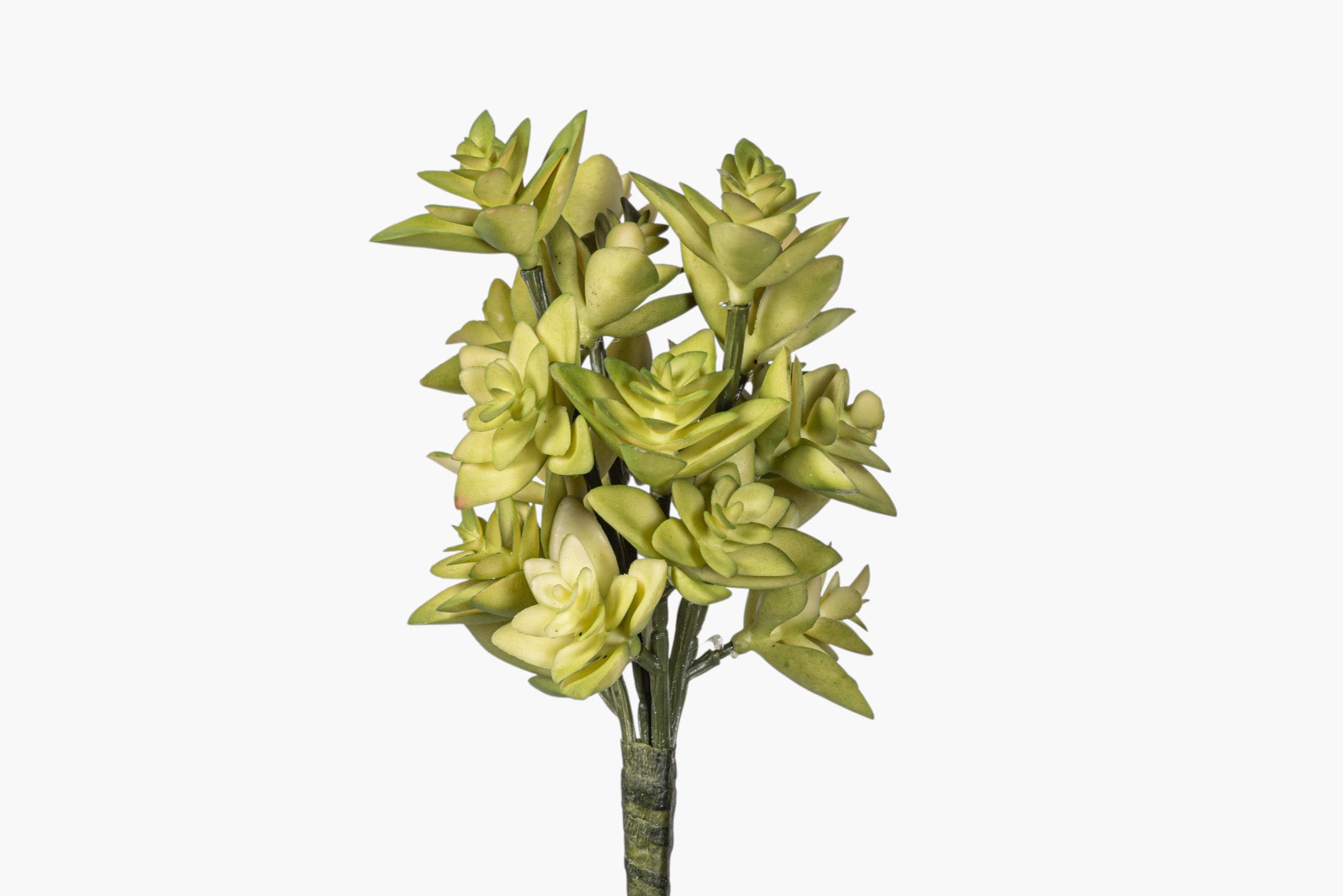 8" Multi-Head Succulent Stem MH1043