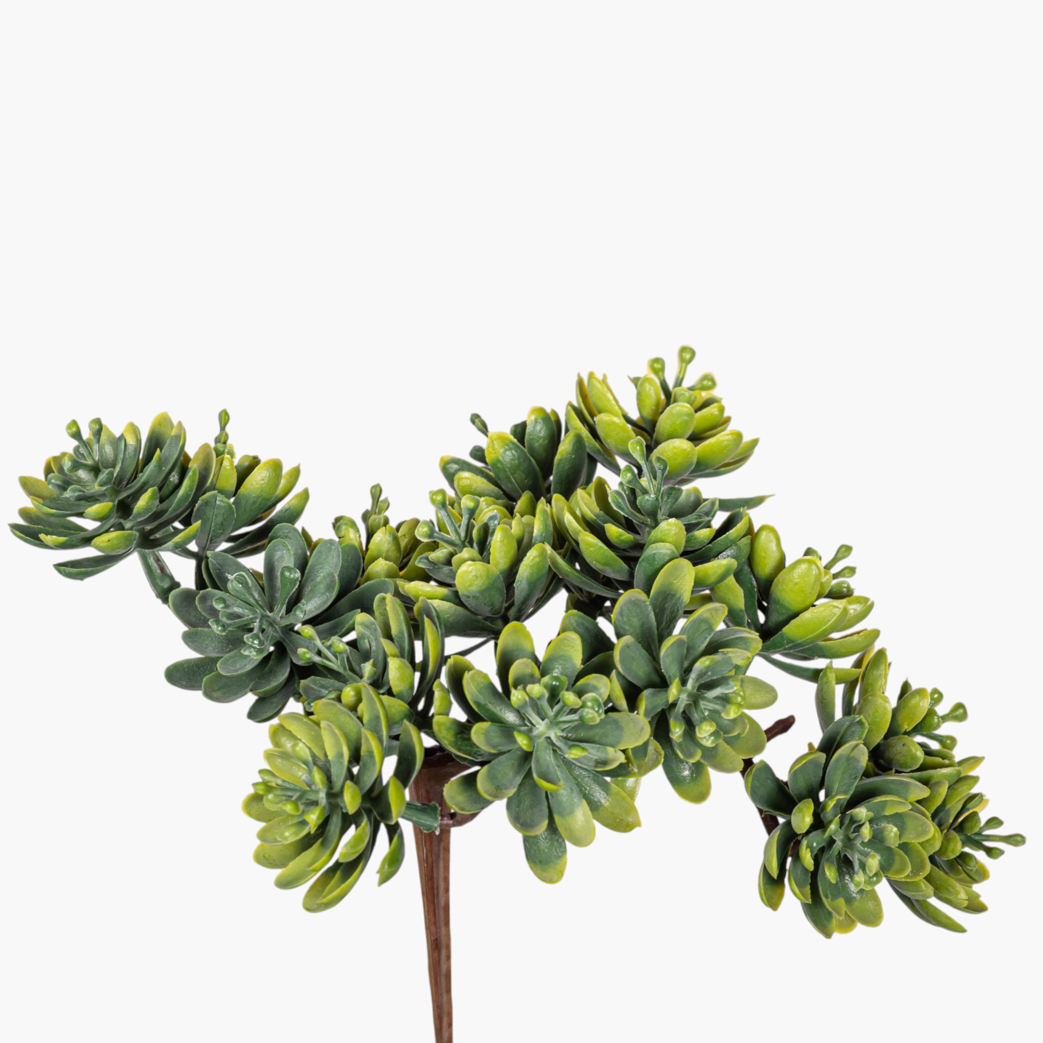5" Multi-Head Succulent Stem MH1044