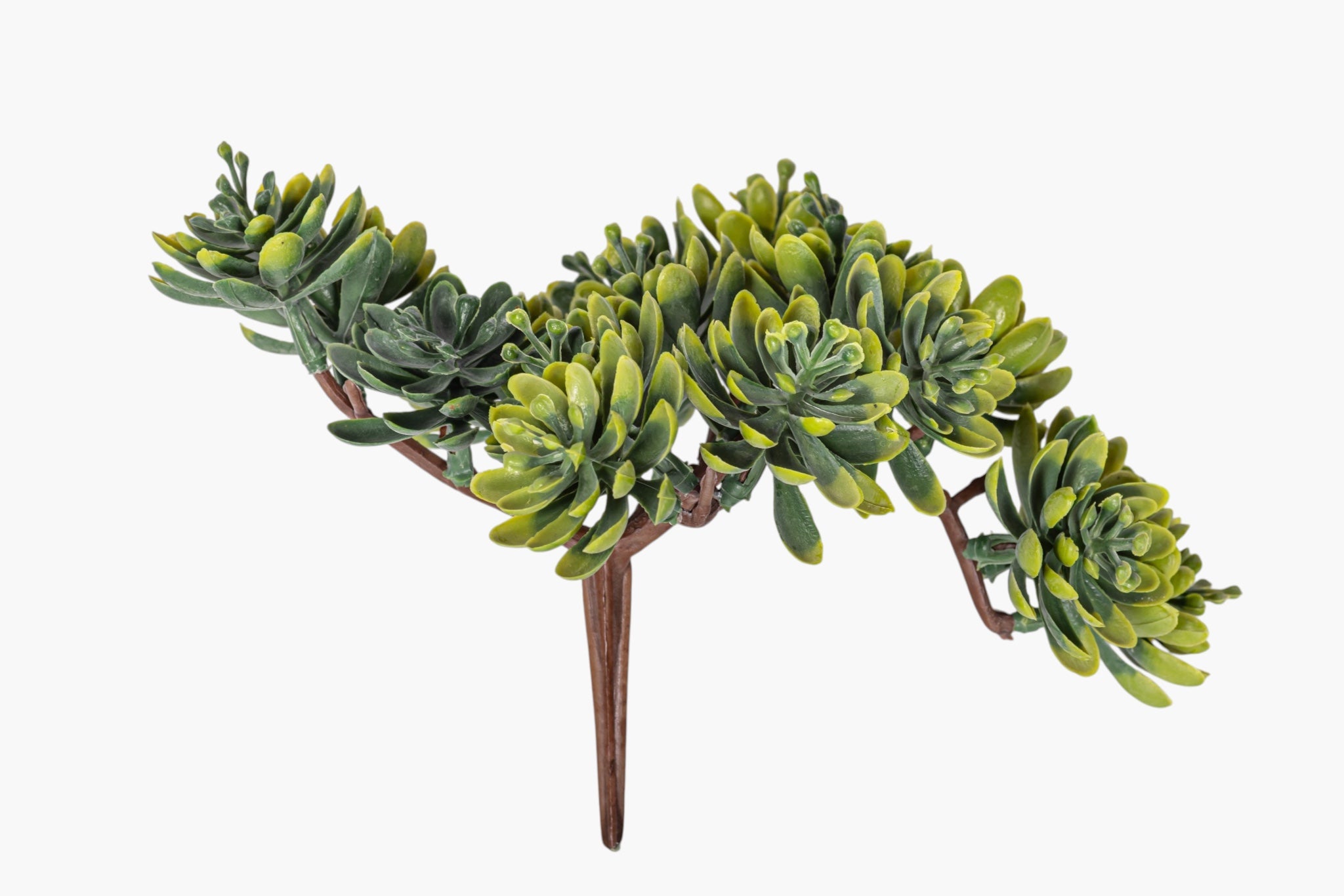 5" Multi-Head Succulent Stem MH1044