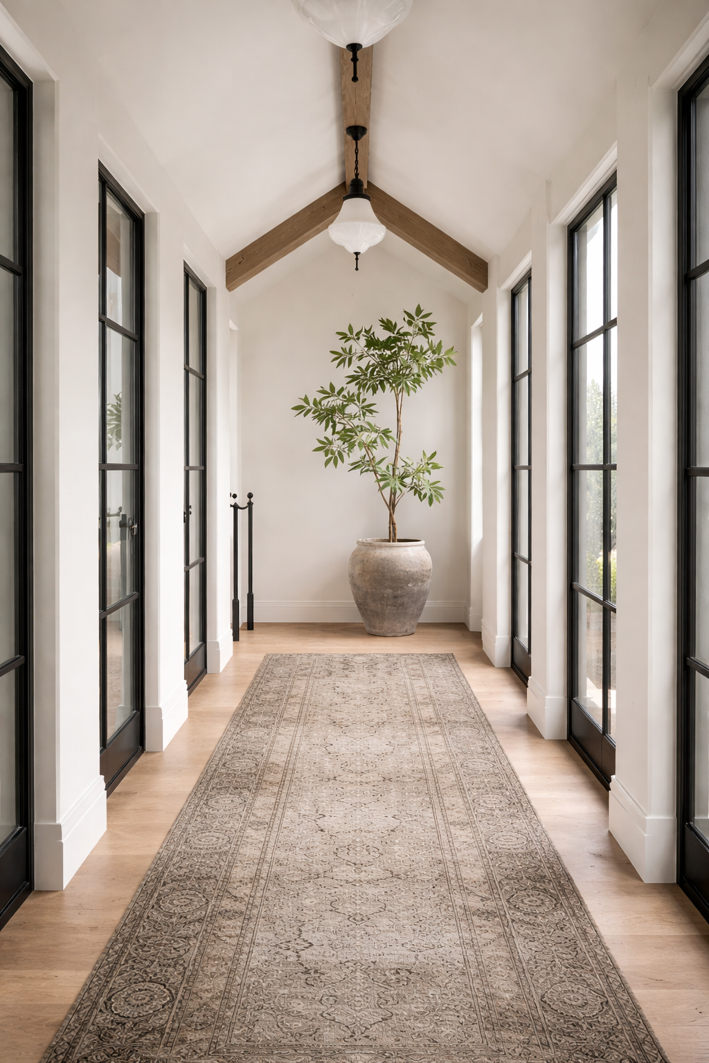 6' Money Tree in Vintage Clay Planter PC1413CN1155