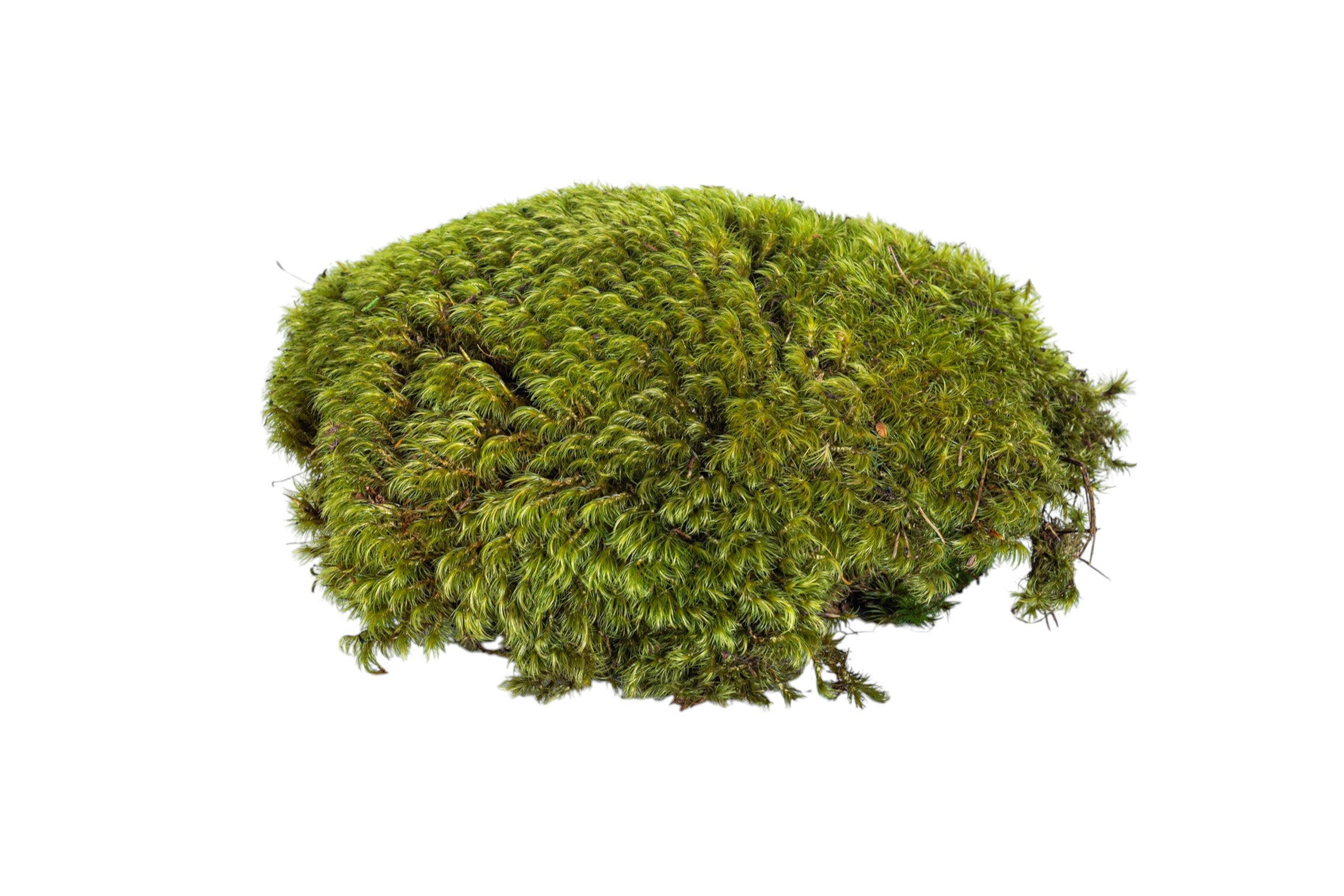 “Basketizing” - Foam with Rock or Moss Covering - 15-20"H