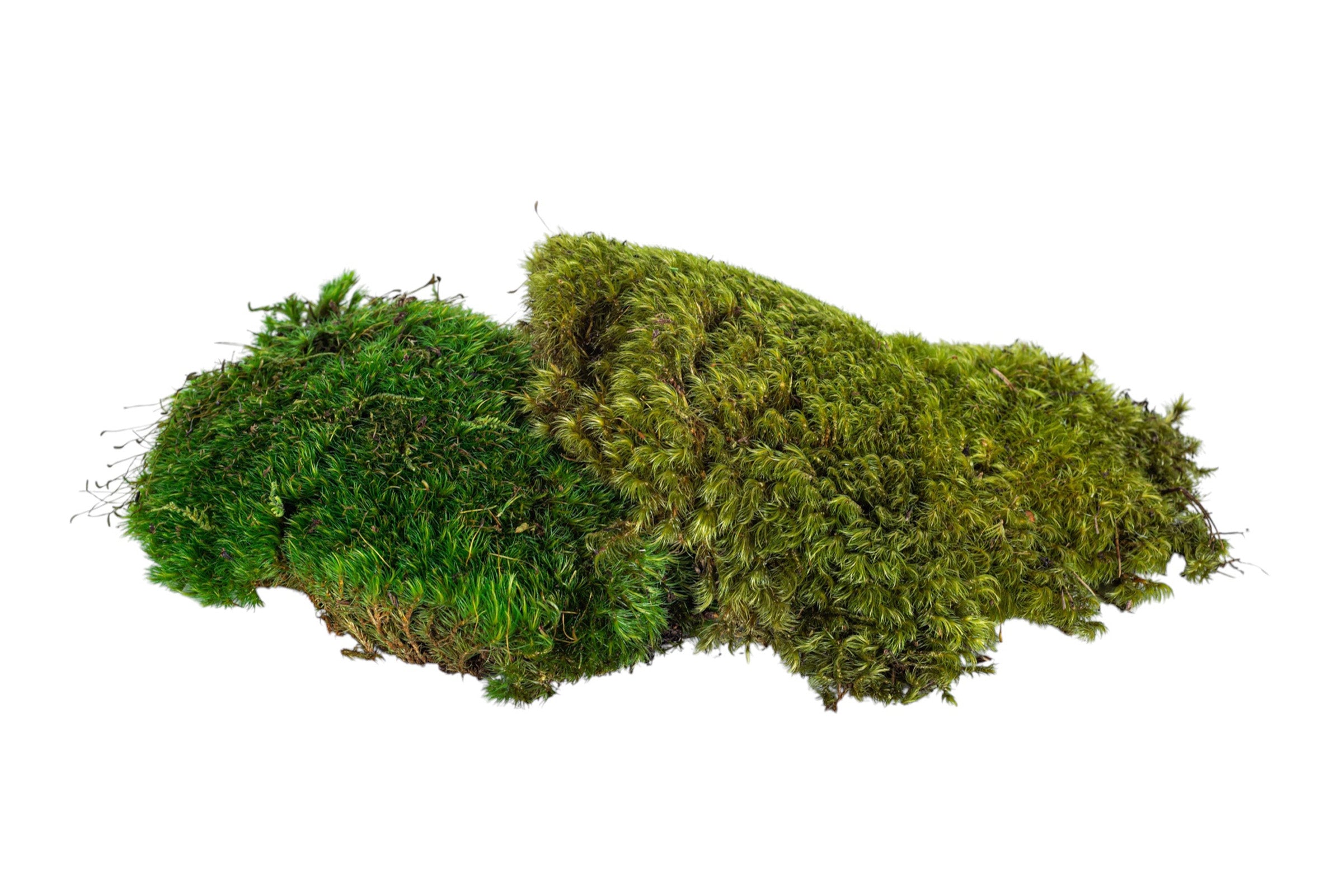 “Basketizing” - Foam with Rock or Moss Covering - 15-20"H