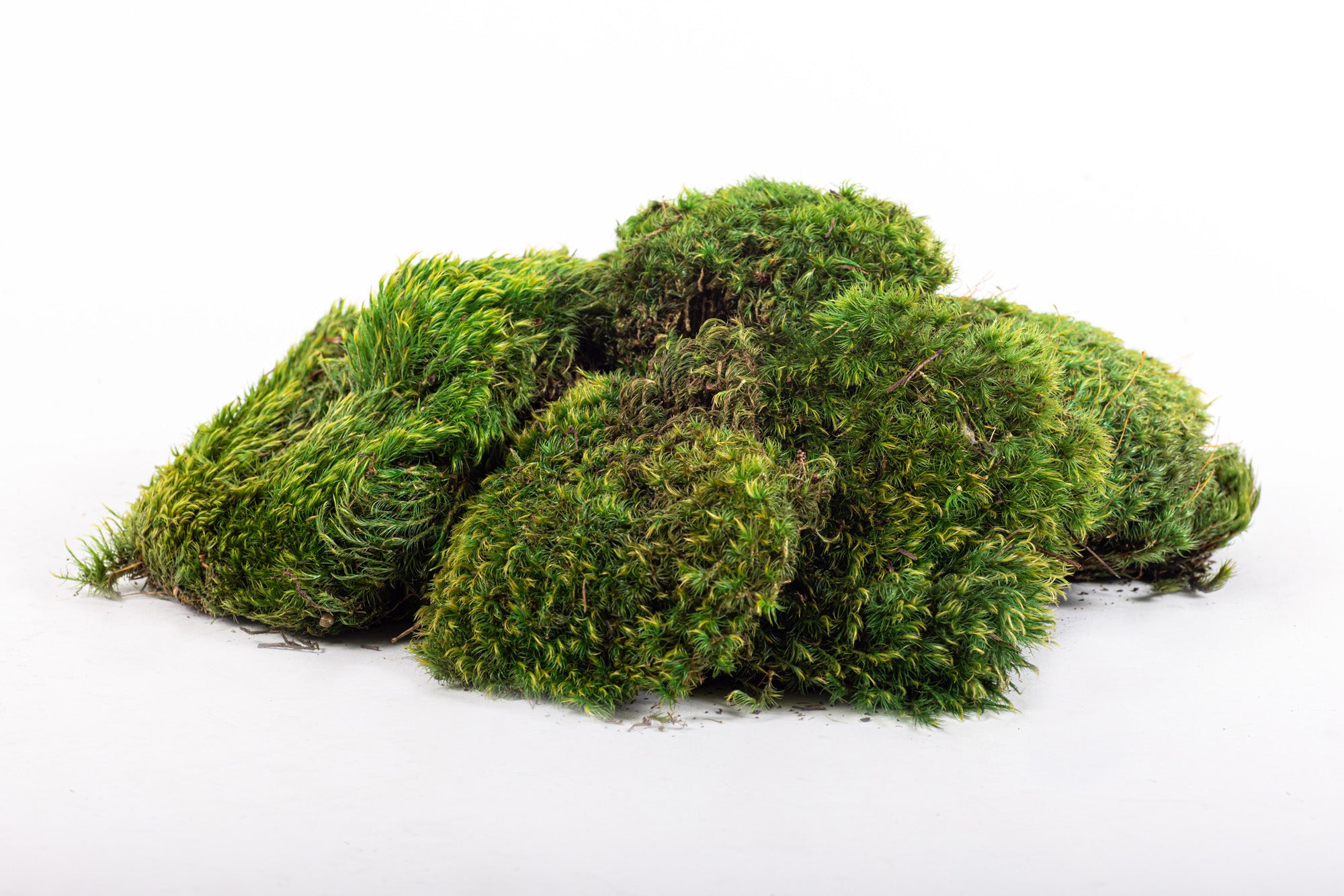 “Basketizing” - Foam with Rock or Moss Covering - 21"-28"H