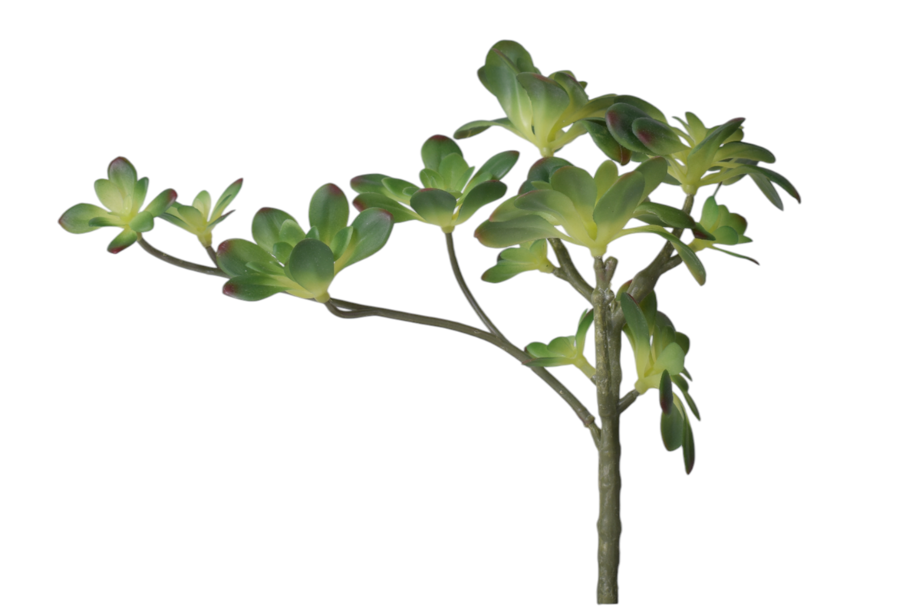 12” Multi Head Succulent-11 Heads MH1032