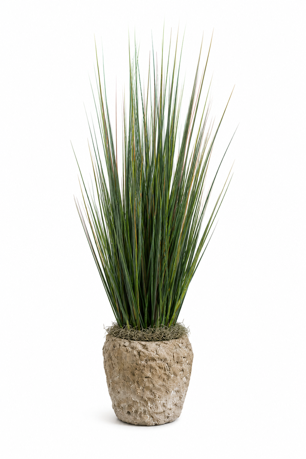 47" Grass Bush in Small Round Crux Planter with Reindeer Moss PC1193CN1392SM