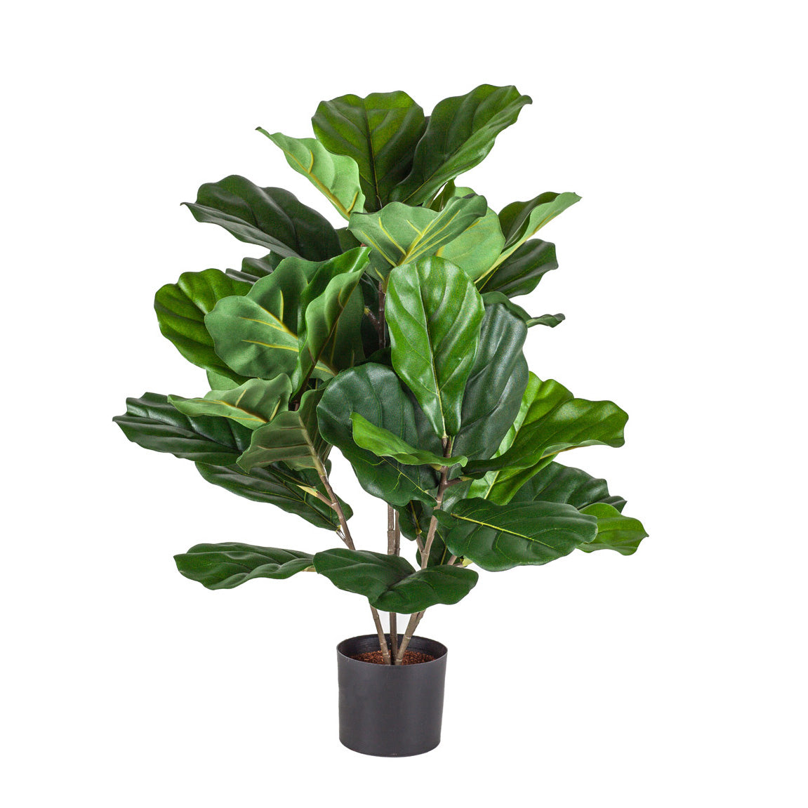 26" Potted Fiddle Leaf Fig Tree PP1029