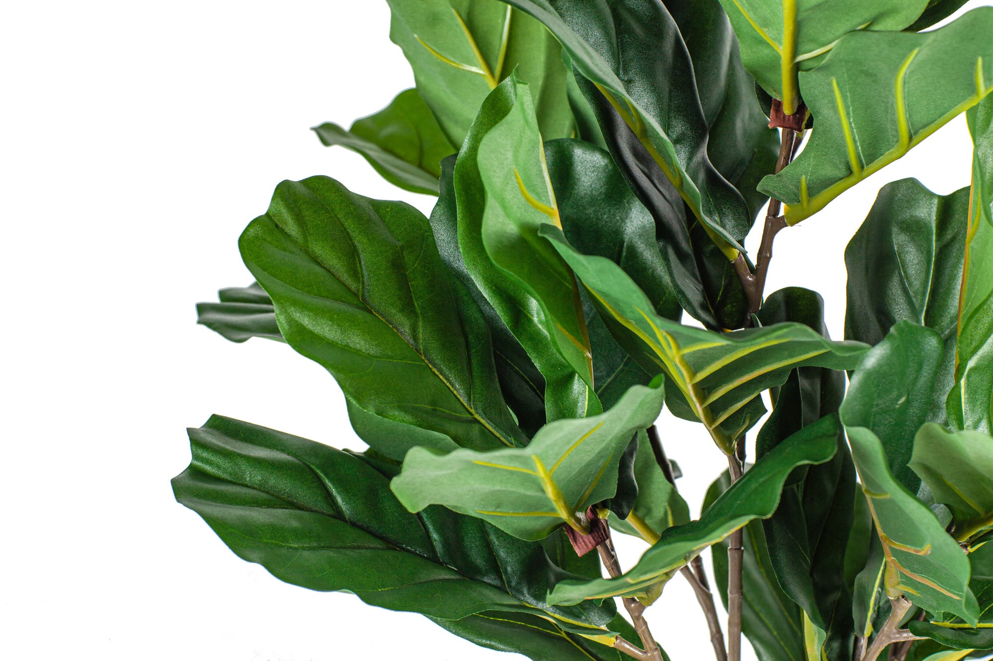 26" Potted Fiddle Leaf Fig Tree PP1029