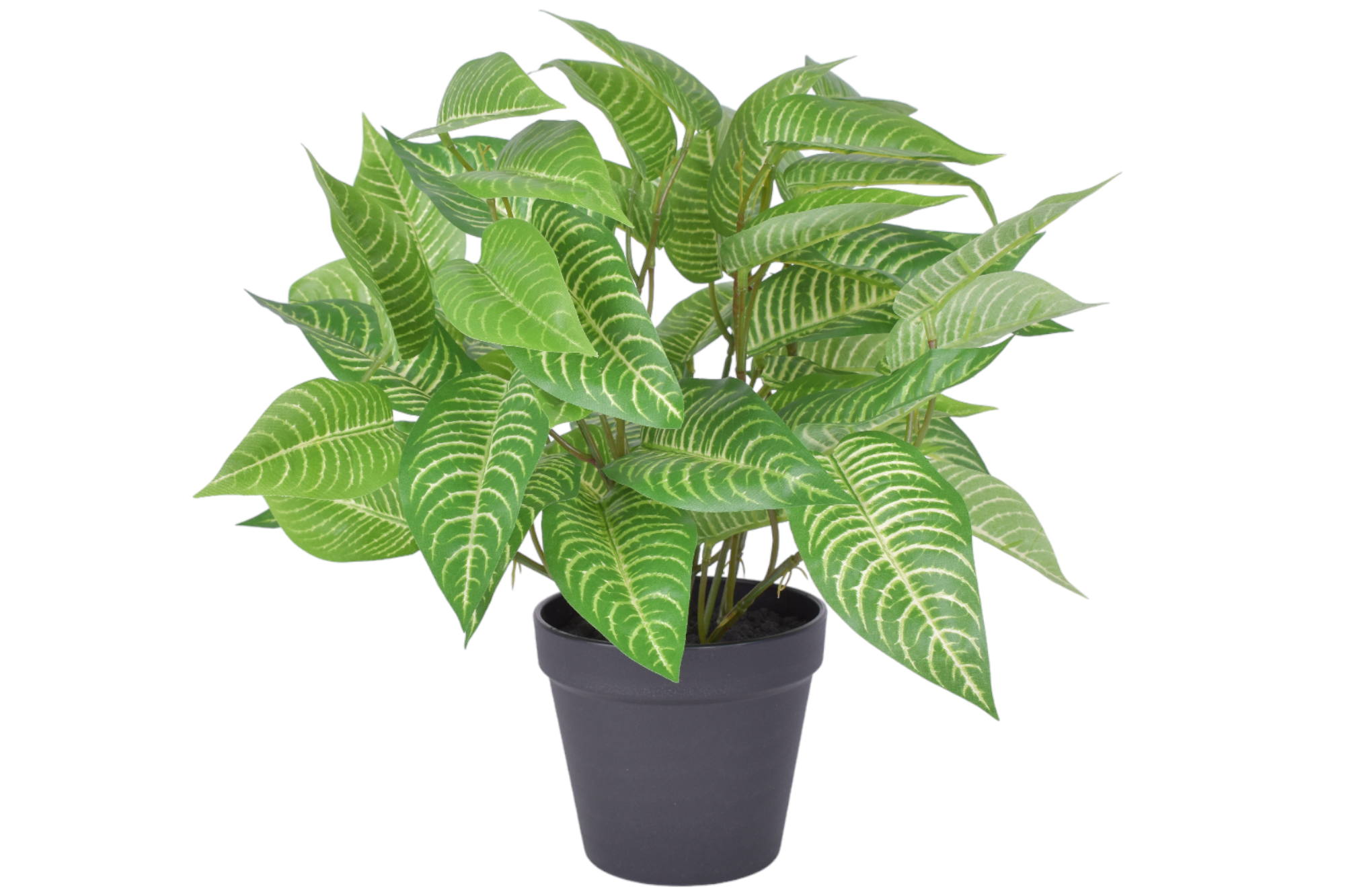 15" Potted Zebra Bush - UV Treated PP1049