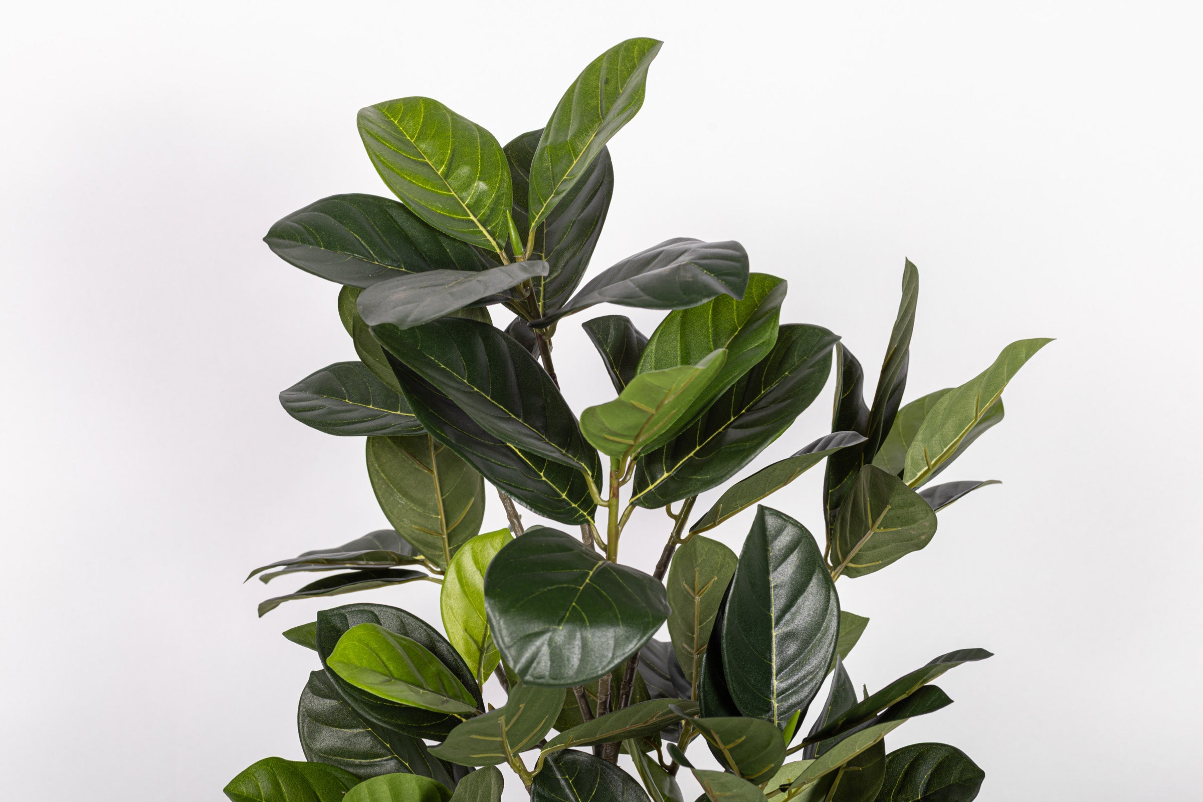 19" Artocarpus Potted Plant PP1067