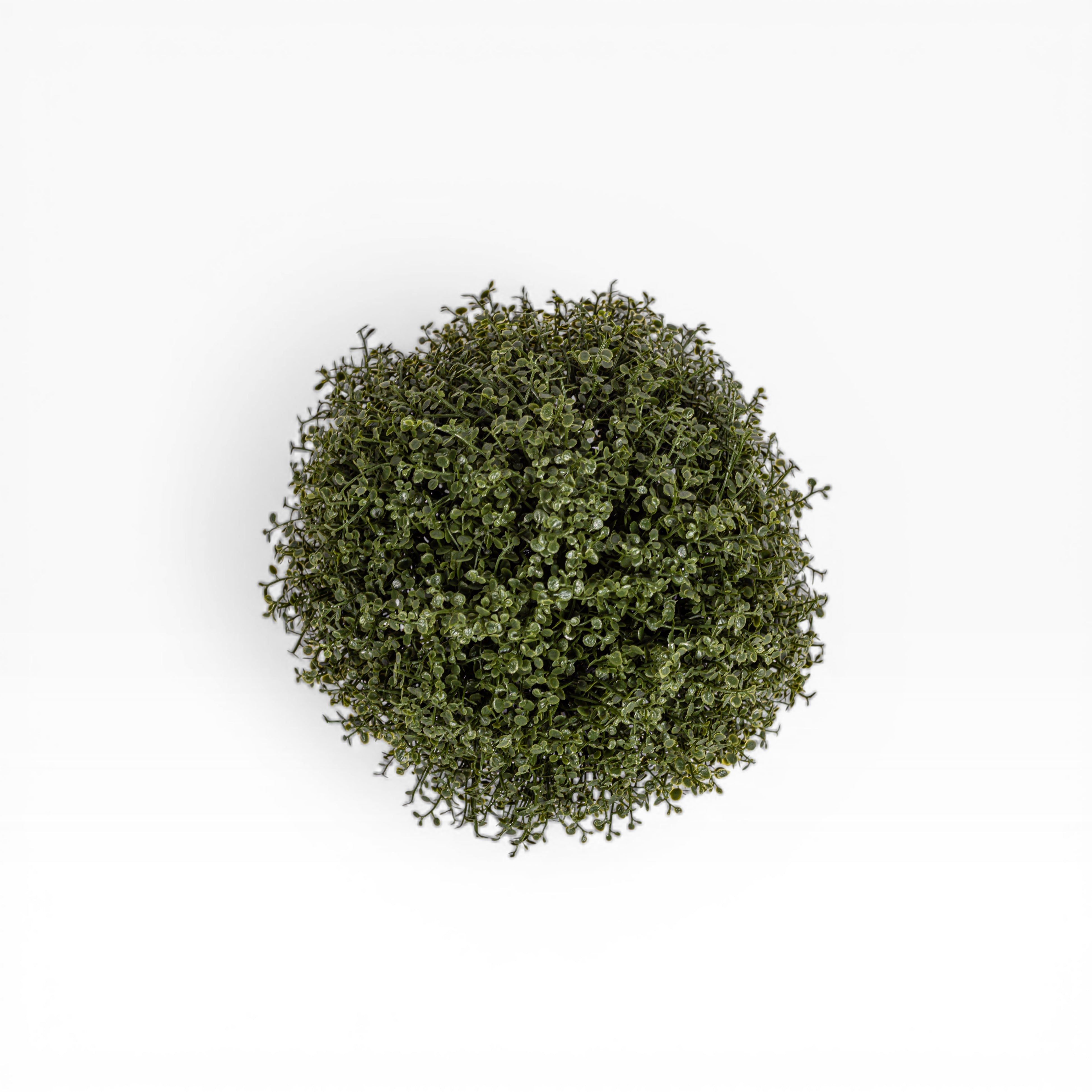 8" Baby Tears Potted Plant PP1070