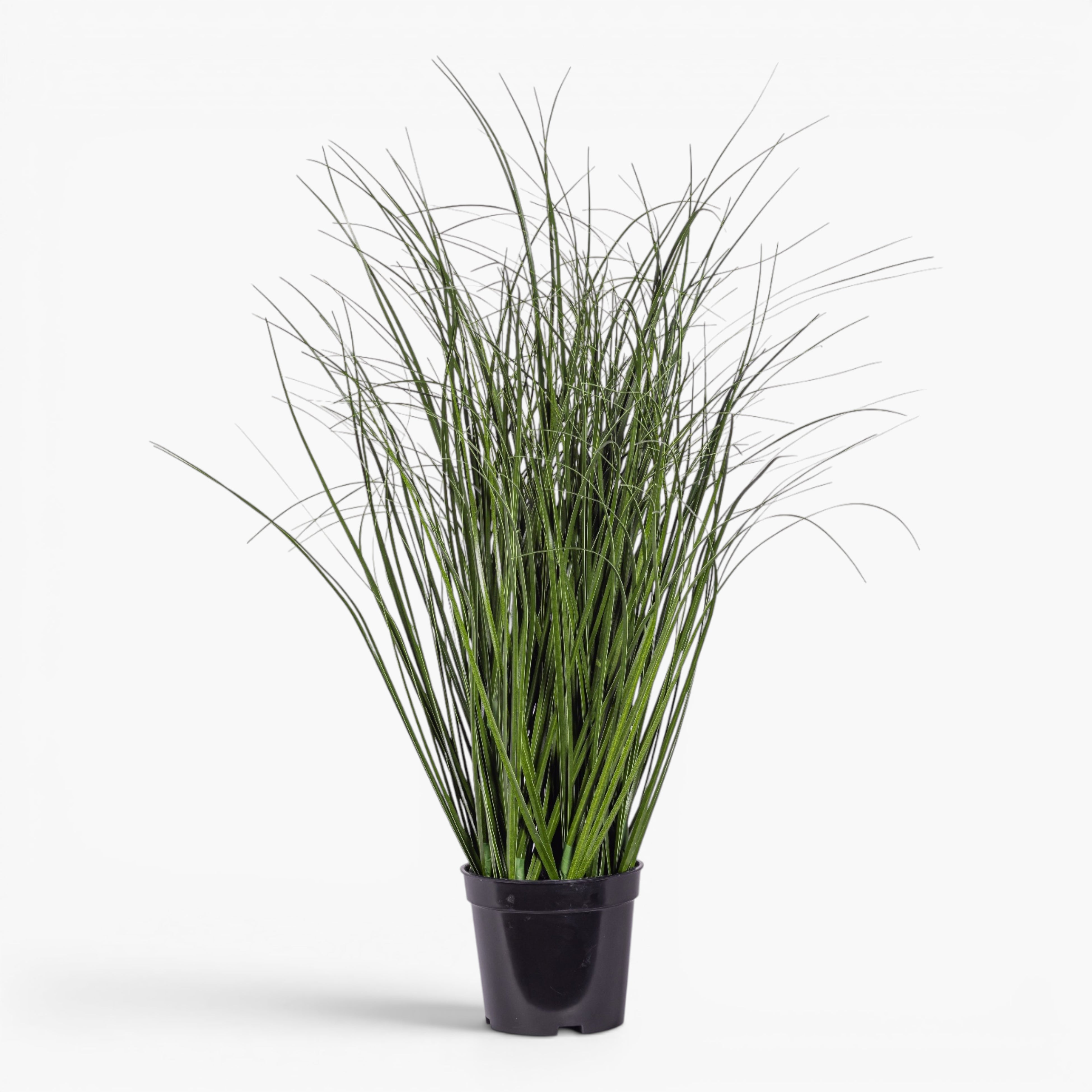 24" Potted Grass - UV Treated PP1073