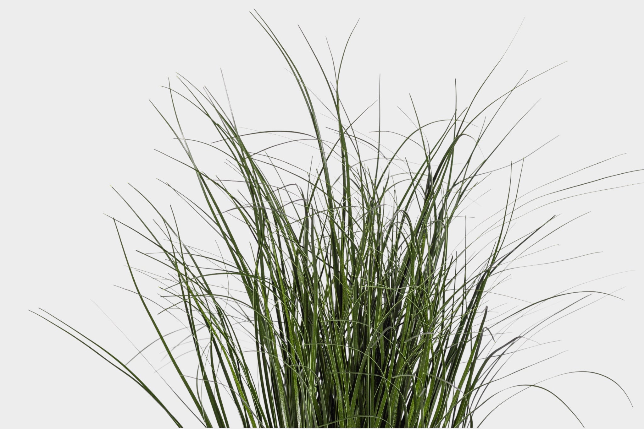 24" Potted Grass - UV Treated PP1073