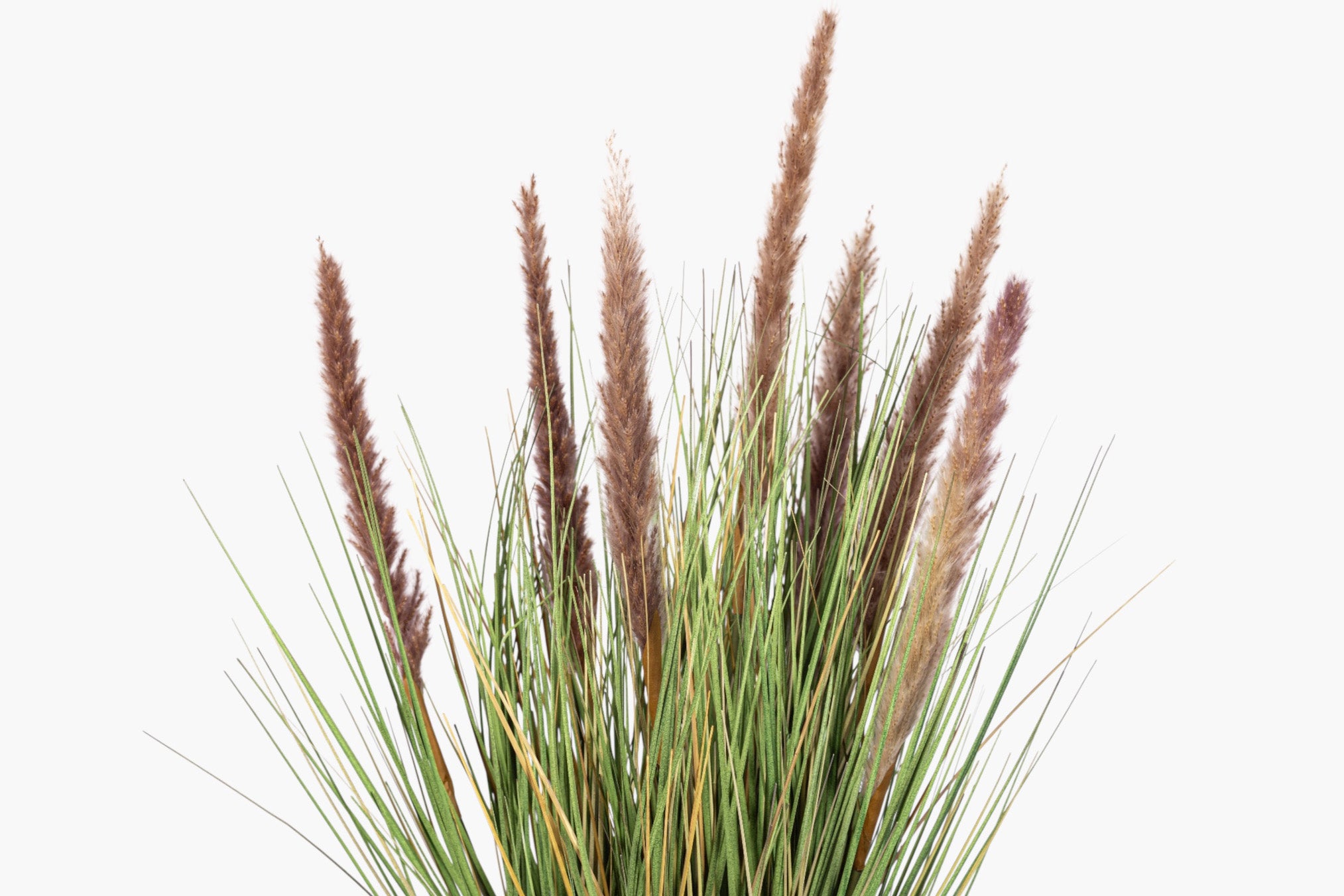 22.5" Natural Foxtail Grass - UV Treated PP1077