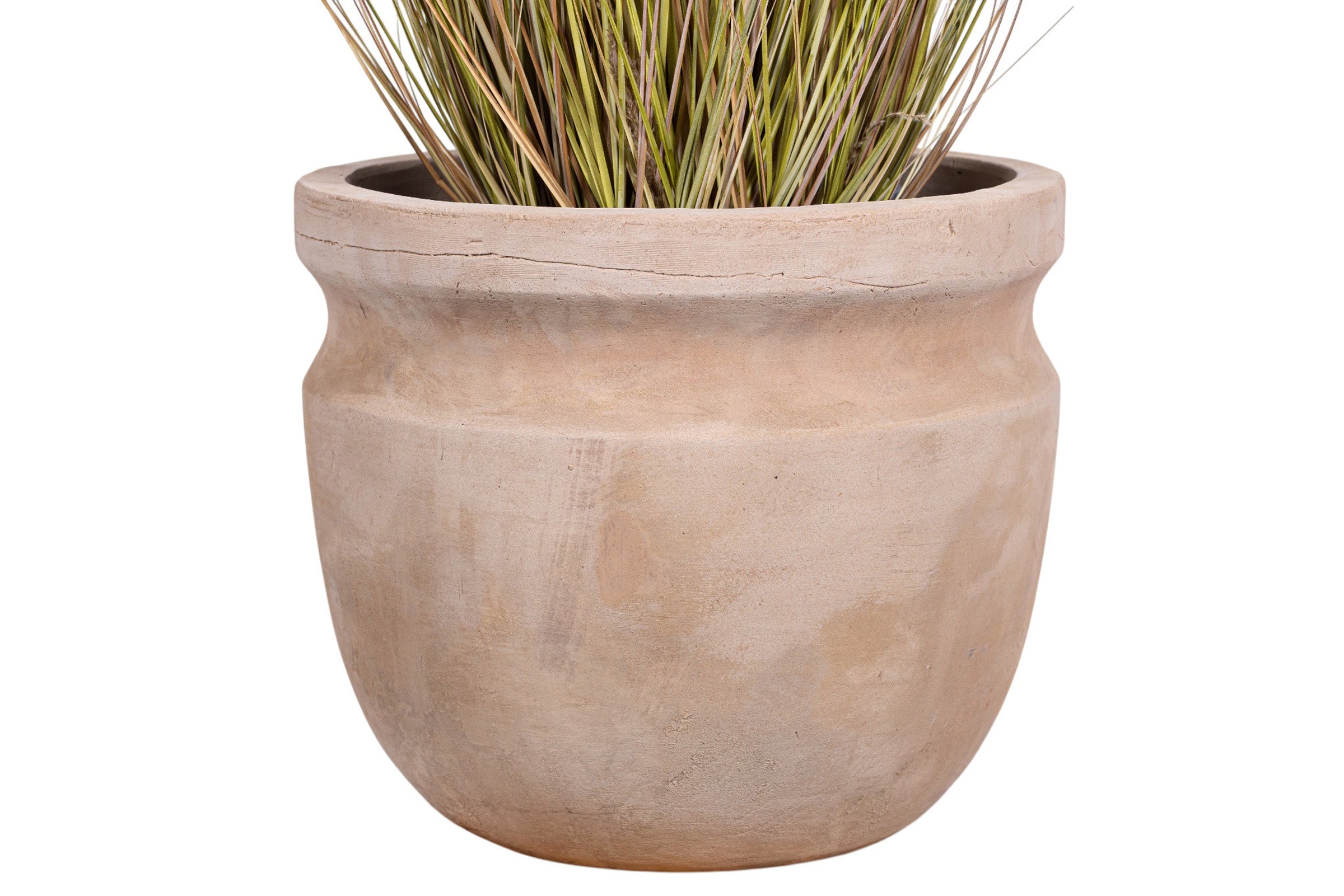 4' Pampas Grass in Terracotta Romeo Planter with Spanish Moss PC1481CN1431LG