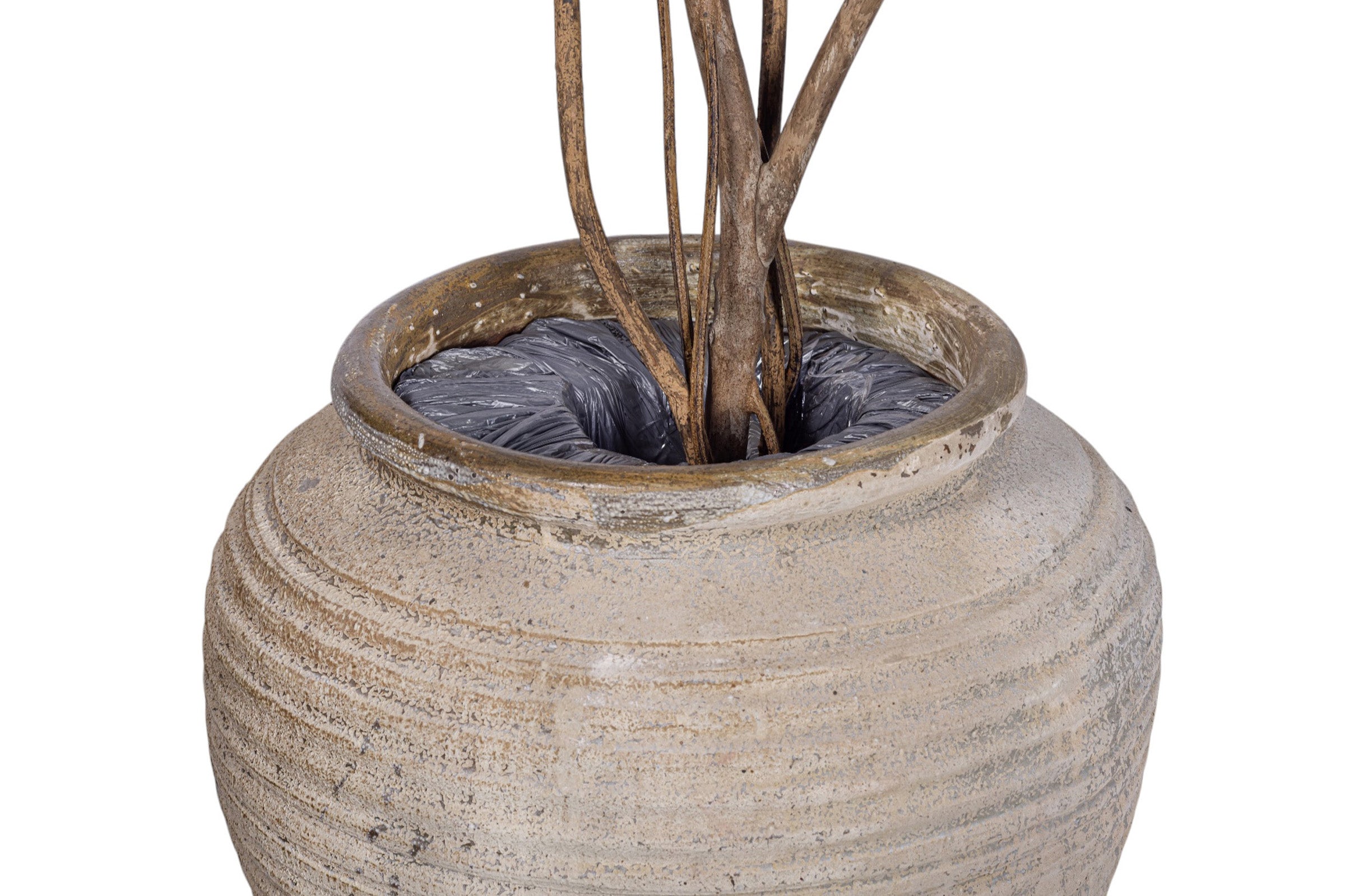 9' Ficus Alii in Linden Planter with Mood Moss PC1432CN1448