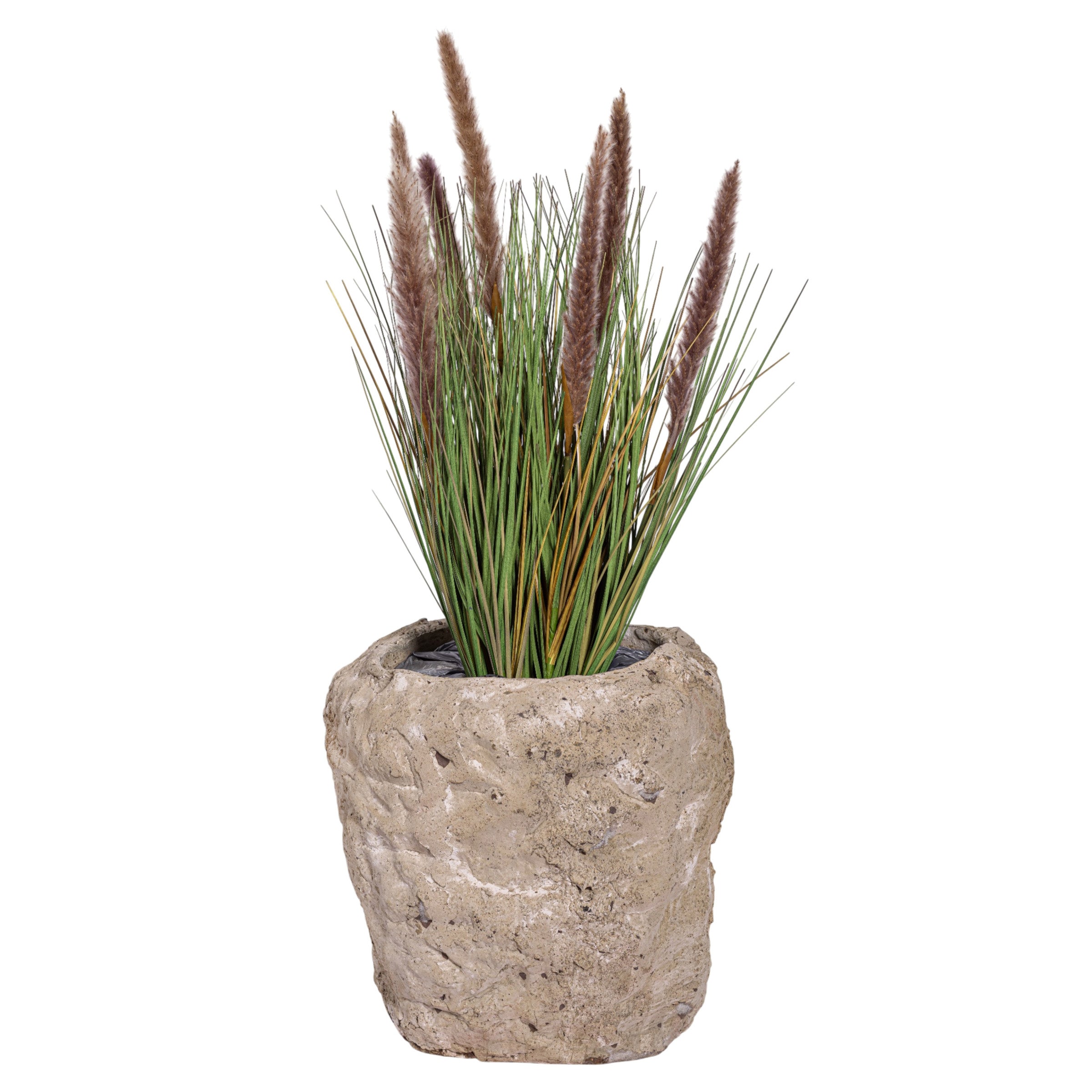 30" Foxtail in Crux Planter PC1077CN1392SM