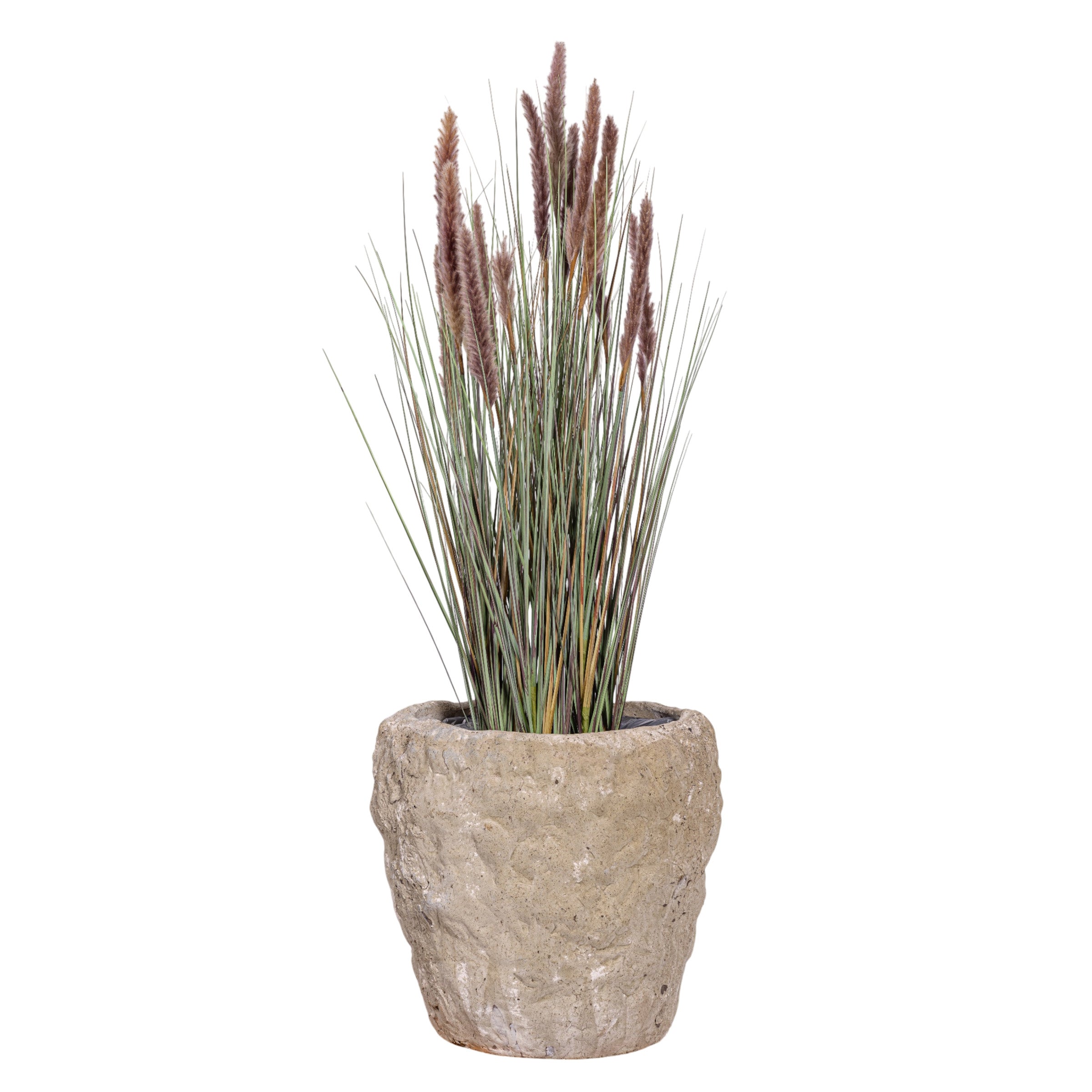 4' Foxtail Plant in Crux Planter PC1479CN1392LG