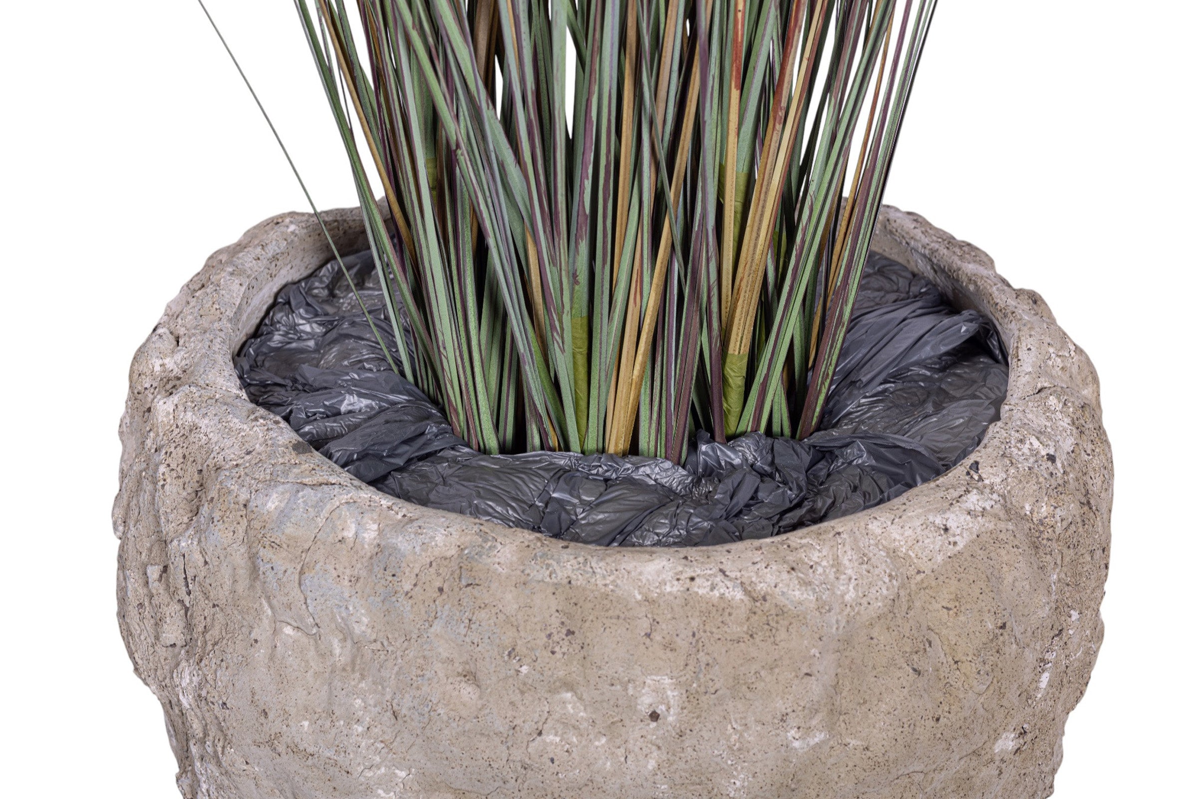 4' Foxtail Plant in Crux Planter PC1479CN1392LG