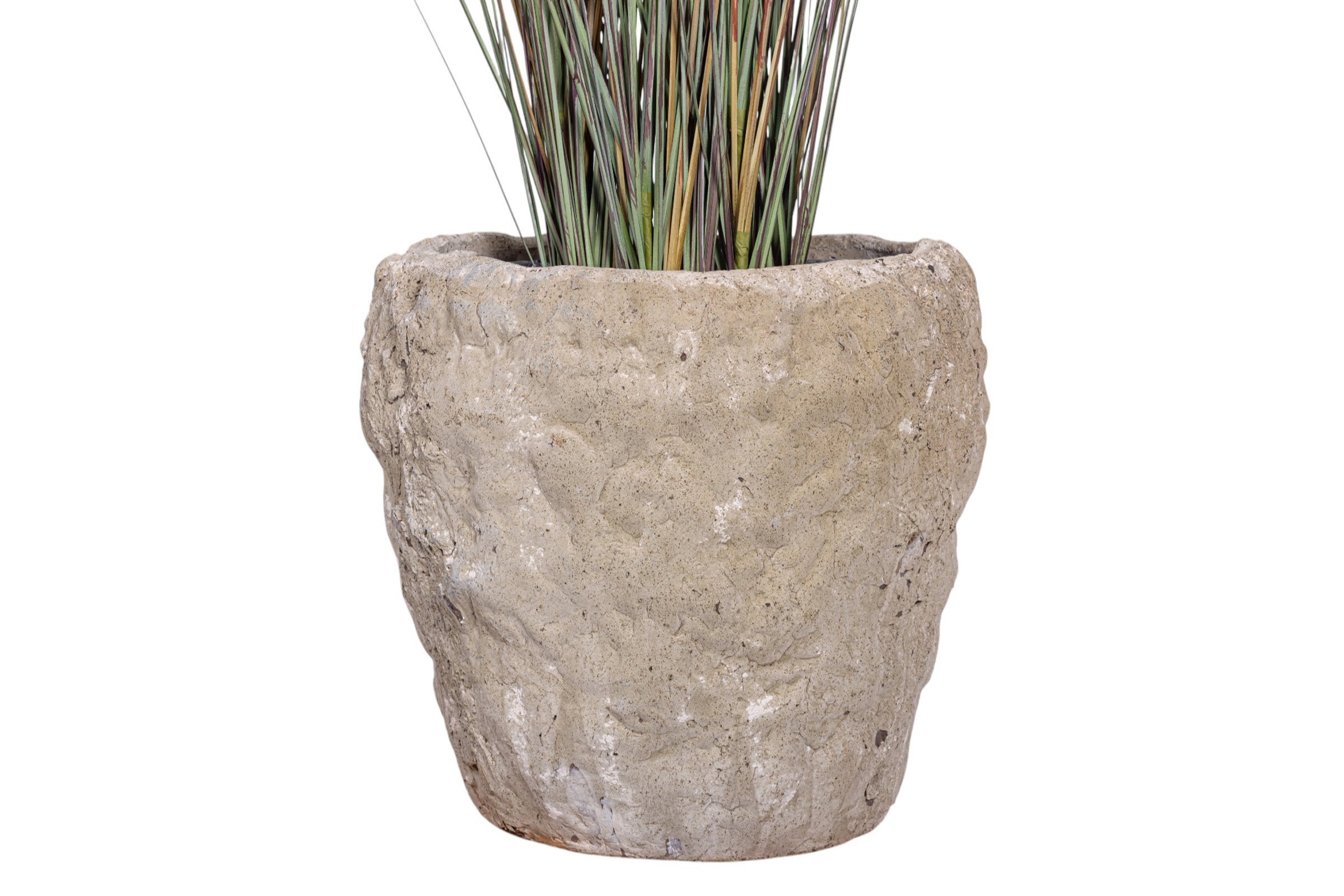 4' Foxtail Plant in Crux Planter PC1479CN1392LG