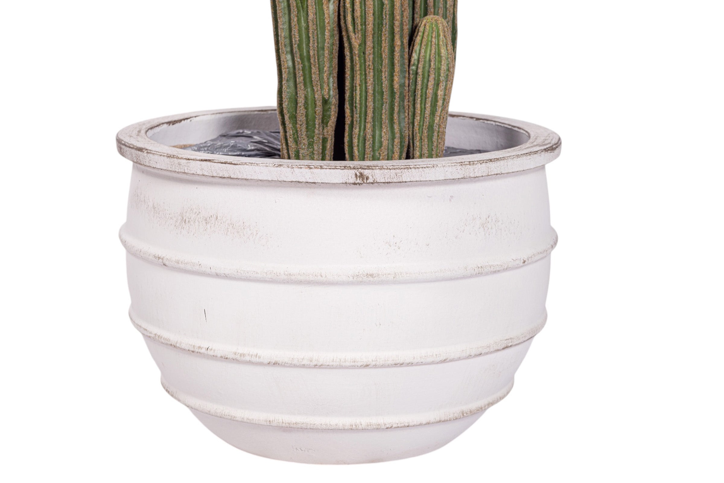 41" Cereus Cactus in White Terracotta Enzo Planter with .5-1" Gold Rock PC1103CN1430MD