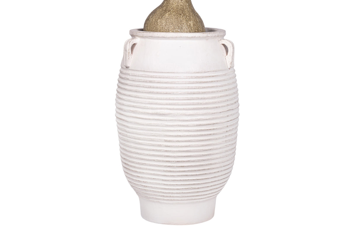 7' Ponytail Palm in White Terracotta Mossimo Planter with .5-1" Gold Rock PC1520CN1428LG