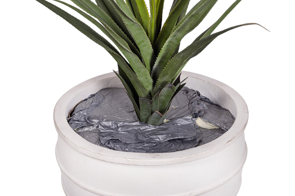 43" Pandanus Plant in White Enzo Planter with .5-1" Gold Rock PC1245CN1430LG