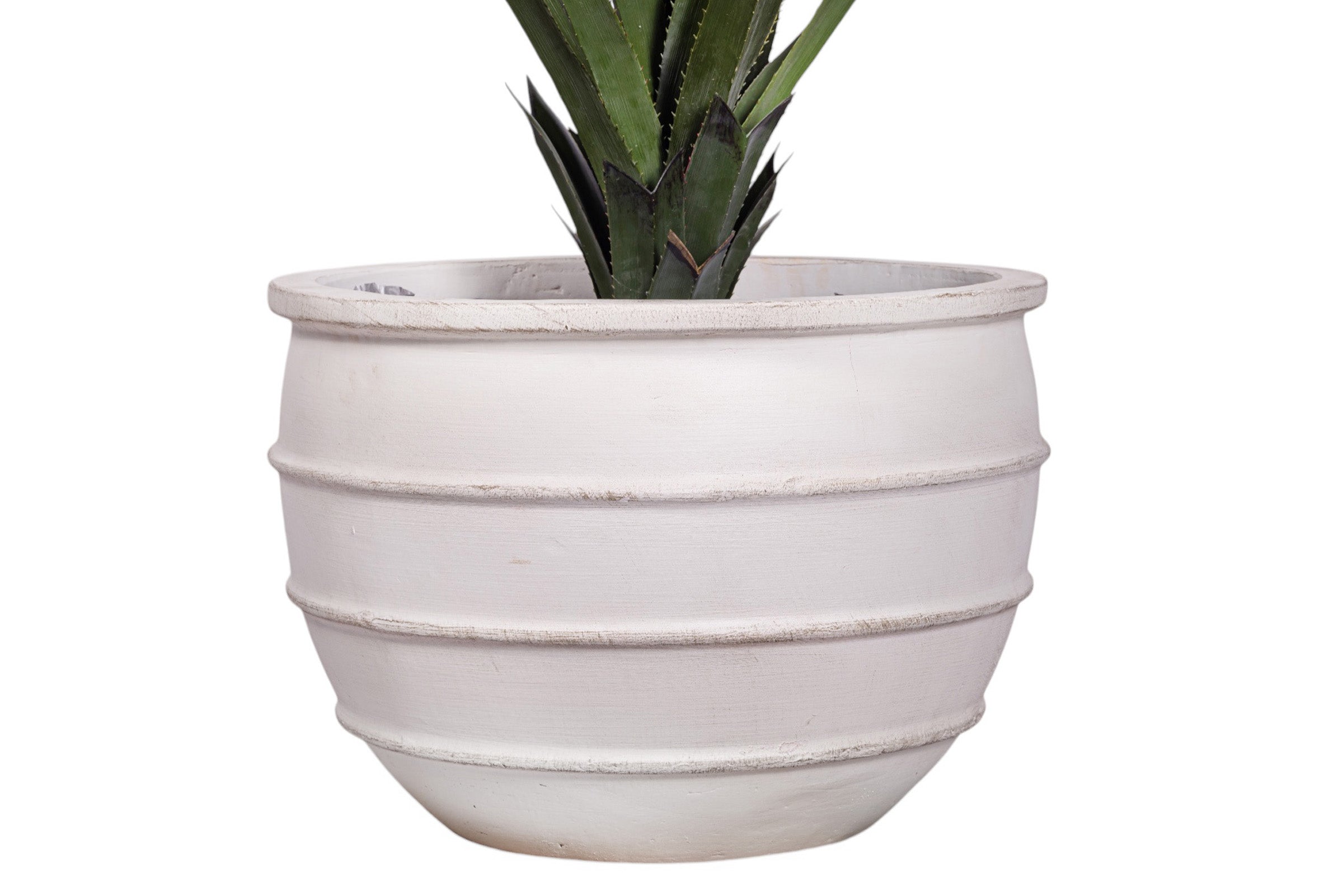 43" Pandanus Plant in White Enzo Planter with .5-1" Gold Rock PC1245CN1430LG