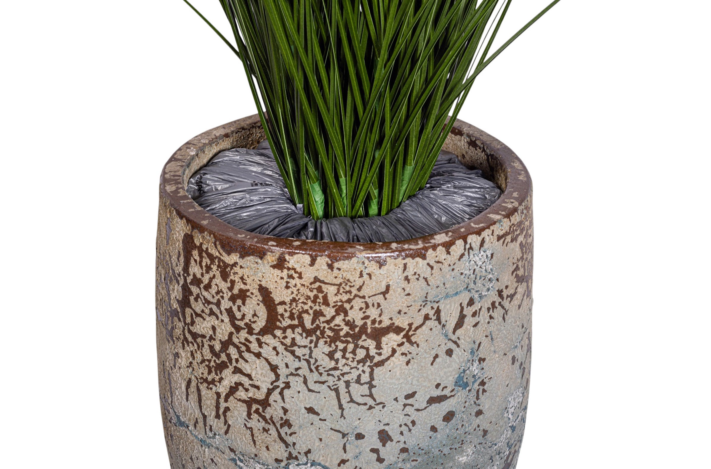 4.5' Grass Plant in Argos Planter with Spanish Moss PC1516CN1373SM