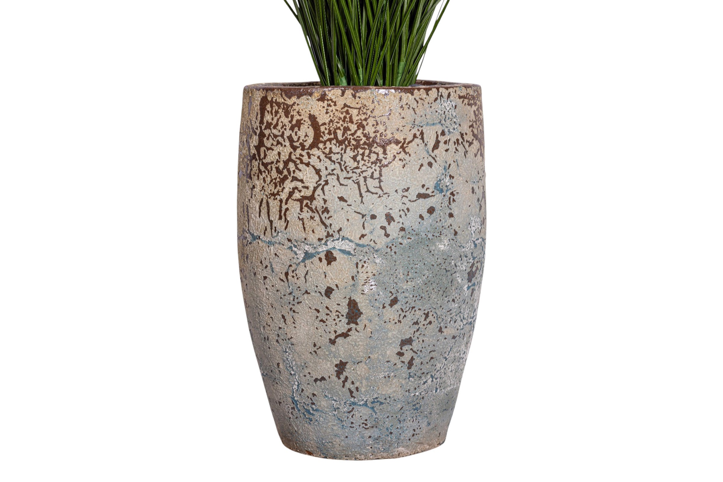 4.5' Grass Plant in Argos Planter with Spanish Moss PC1516CN1373SM