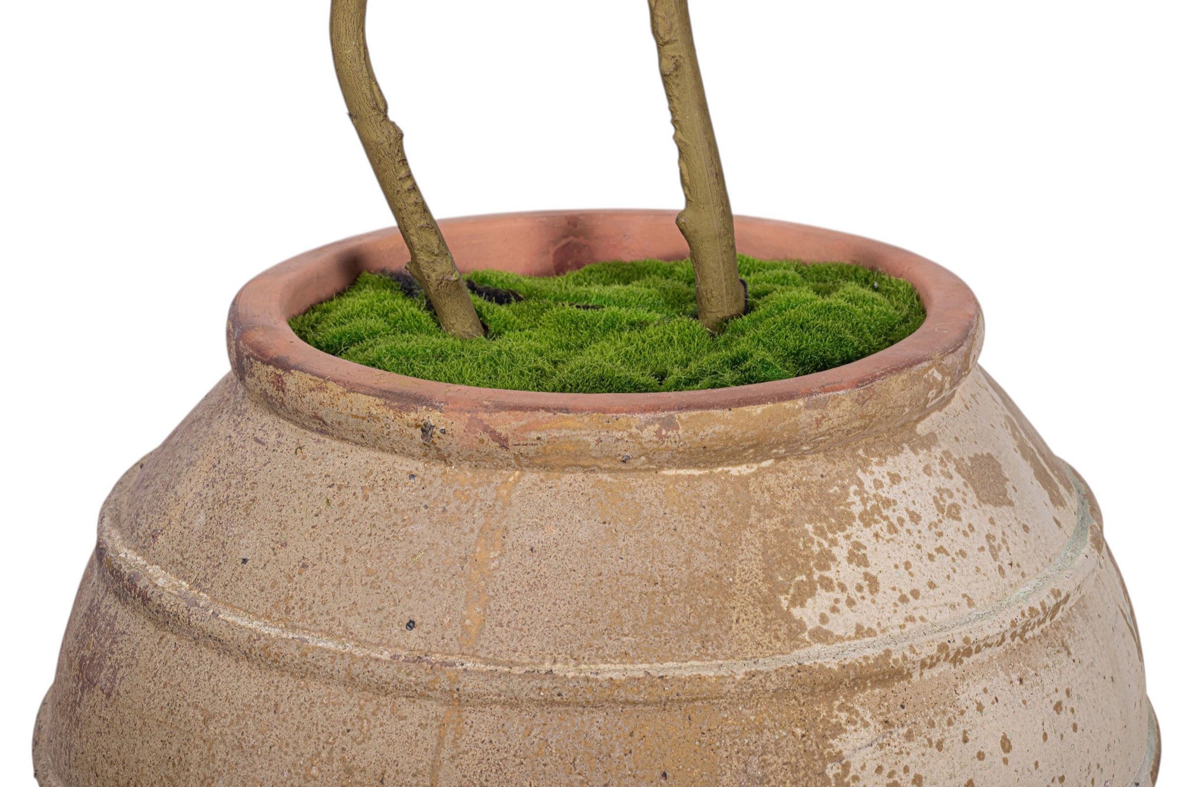 9' Gardenia Tree in Rhea Planter PC1475CN1440