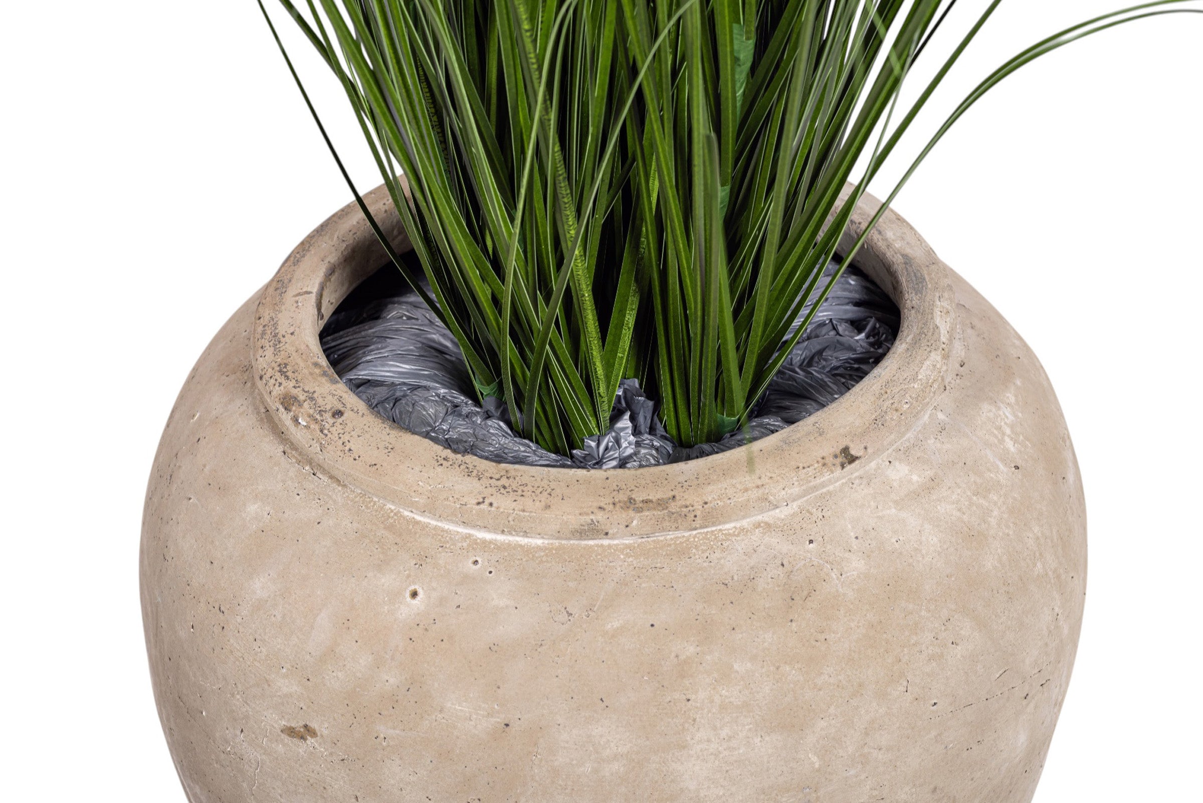 4' Grass Plant in Small Lynus Planter PC1516CN1381SM