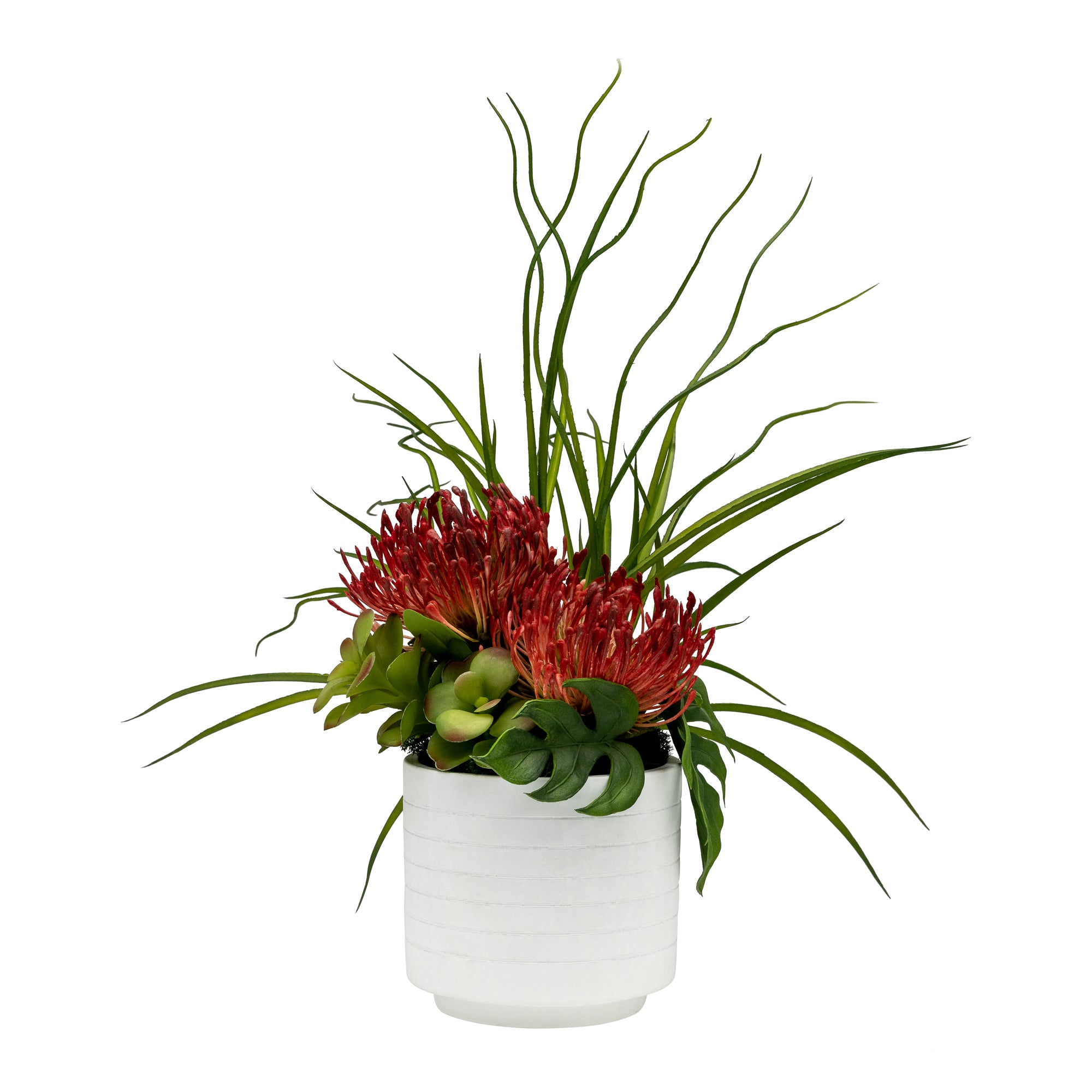 6" Flat White Pot with Red Protea Arrangement AR1427