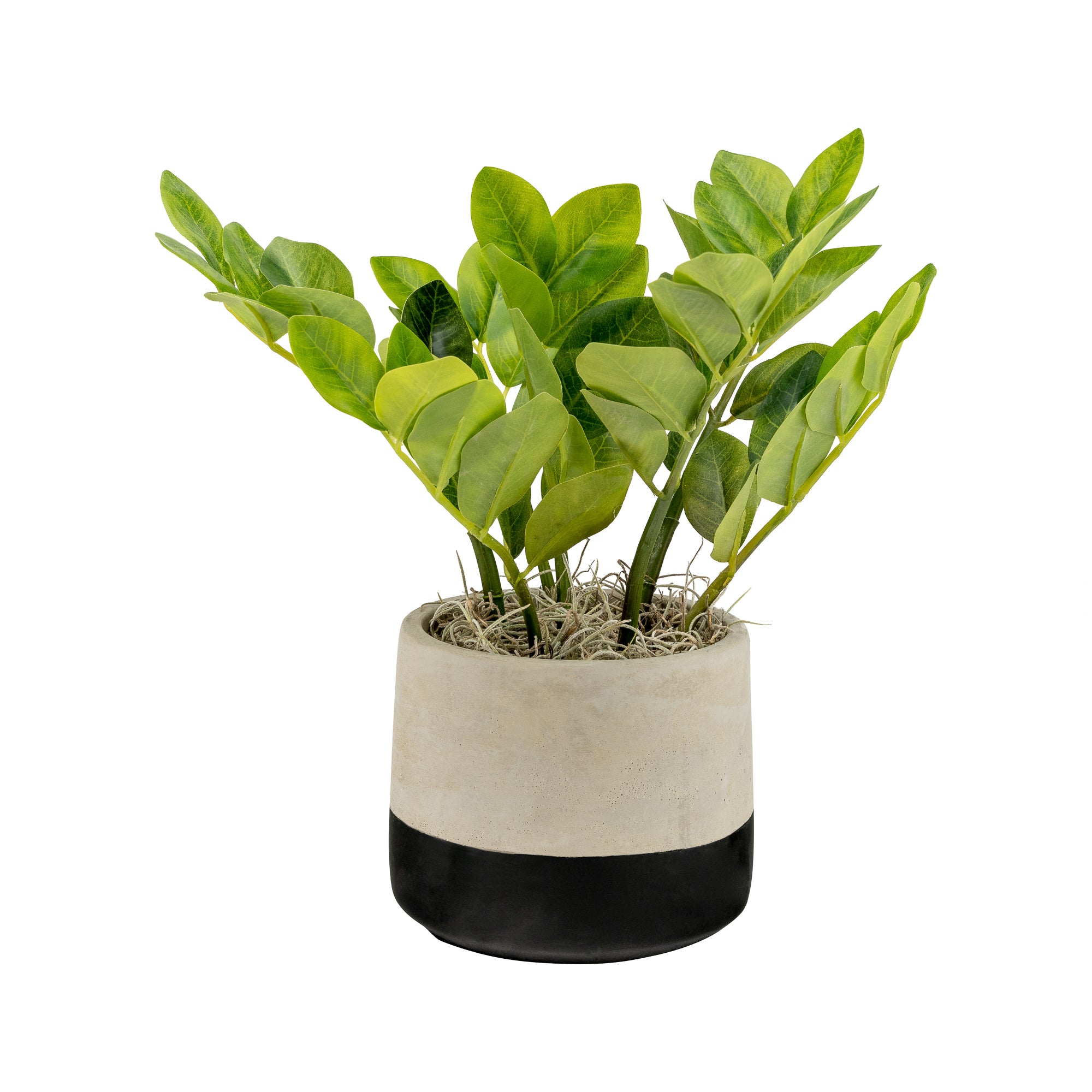 6" Ashby Pot with ZZ Arrangement AR1453