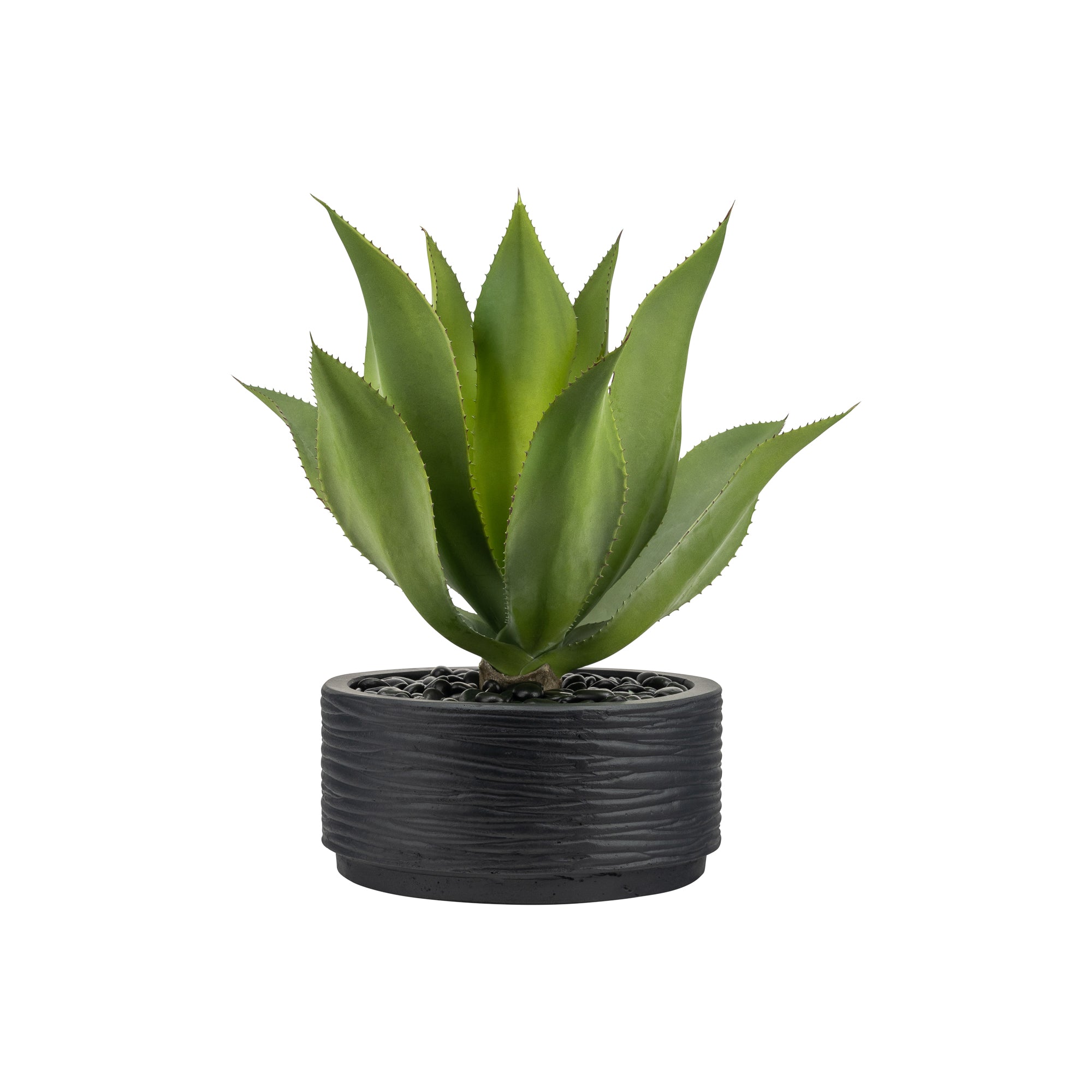 12" Sydney Bowl with Agave AR1680
