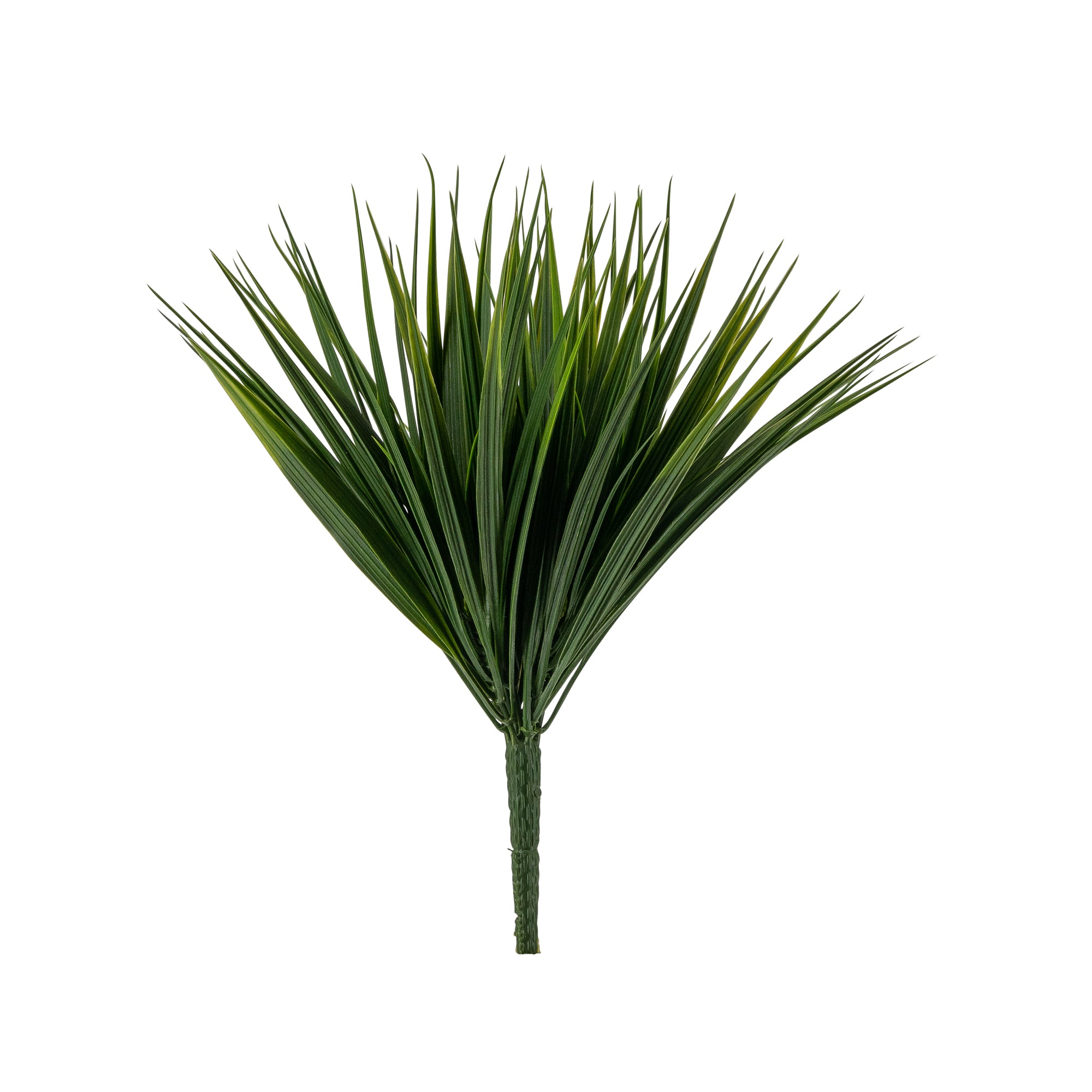 Sweet Grass Bush- UV Protected GS1023UV