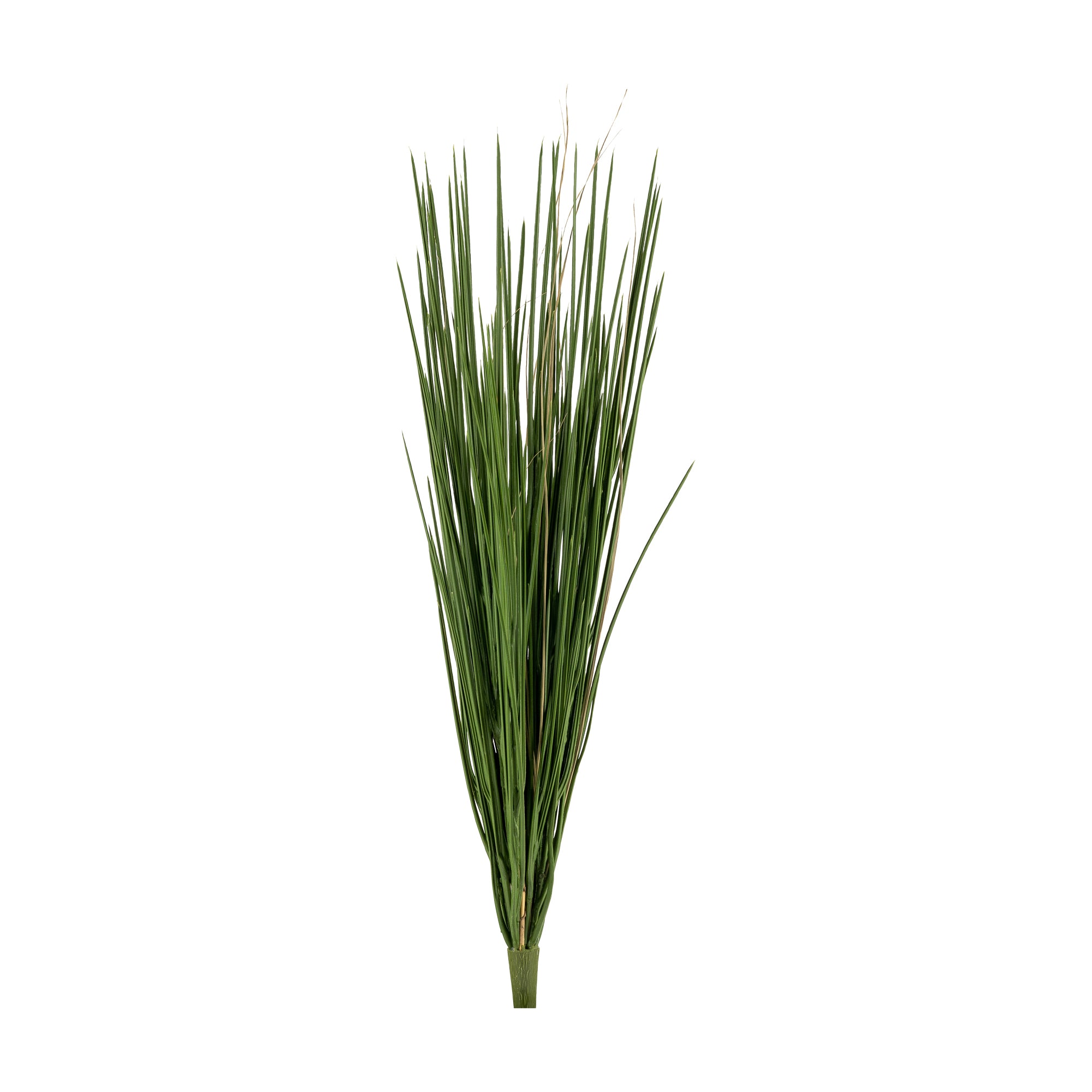 28” Honey Grass- UV Protected GS1021UV