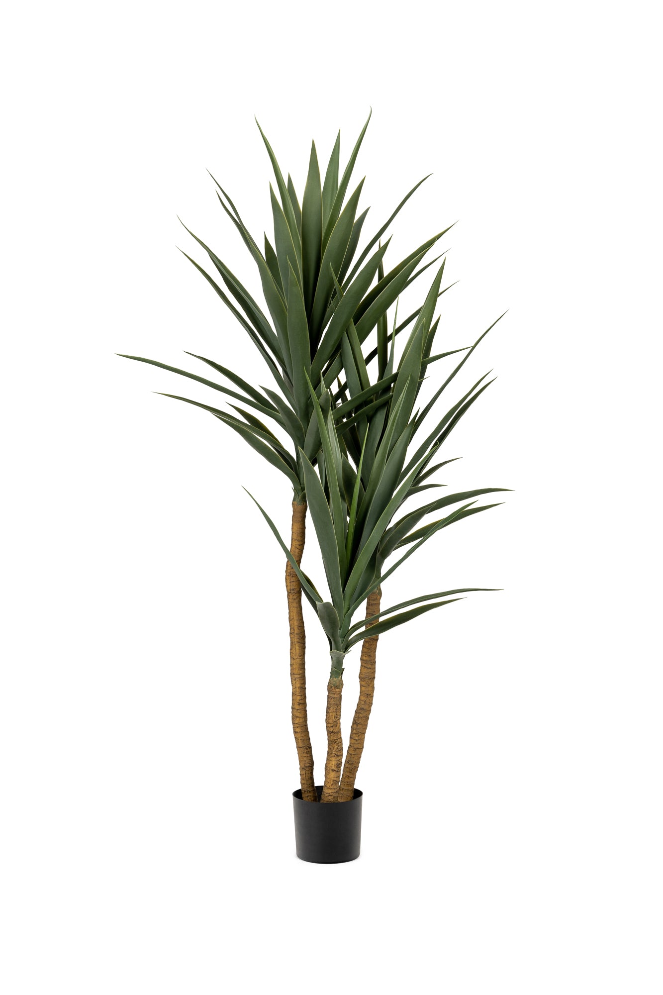 4' Yucca Tree- Green   FP1105