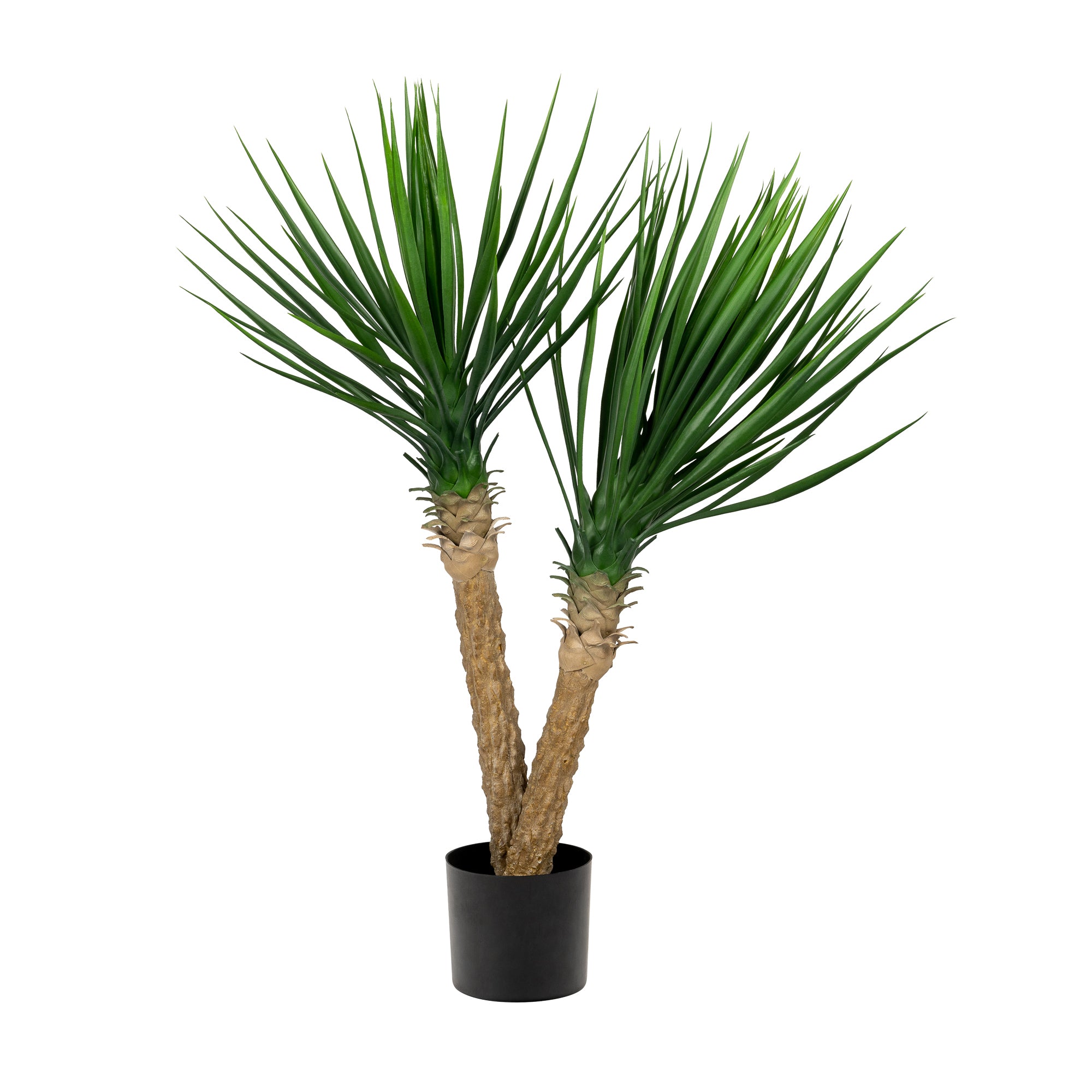 yucca cane decor 42” Yucca Rostrata FP1247