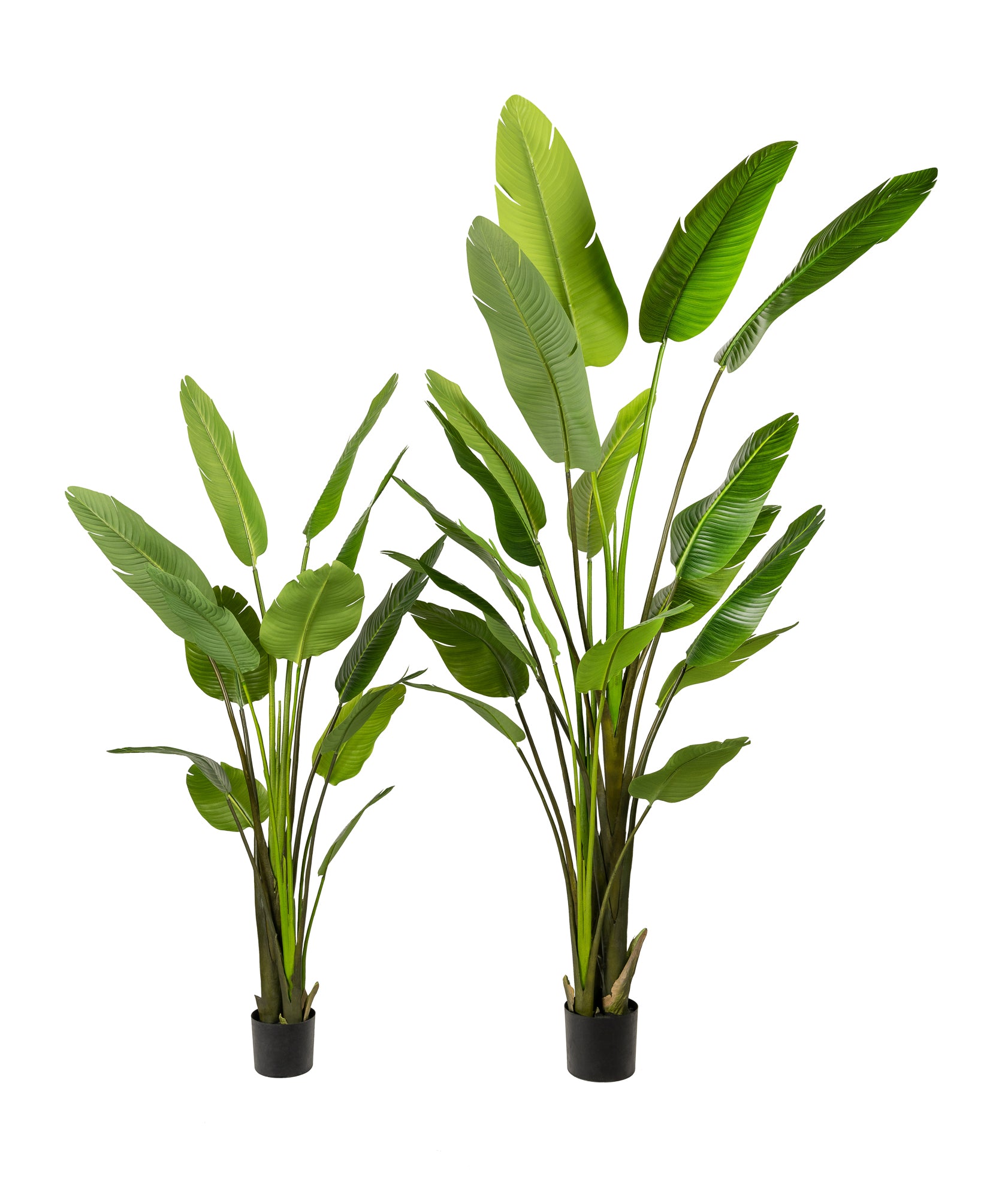 artificial silk bird of paradise palm tree potted plant 6' Bird of Paradise FP1234
