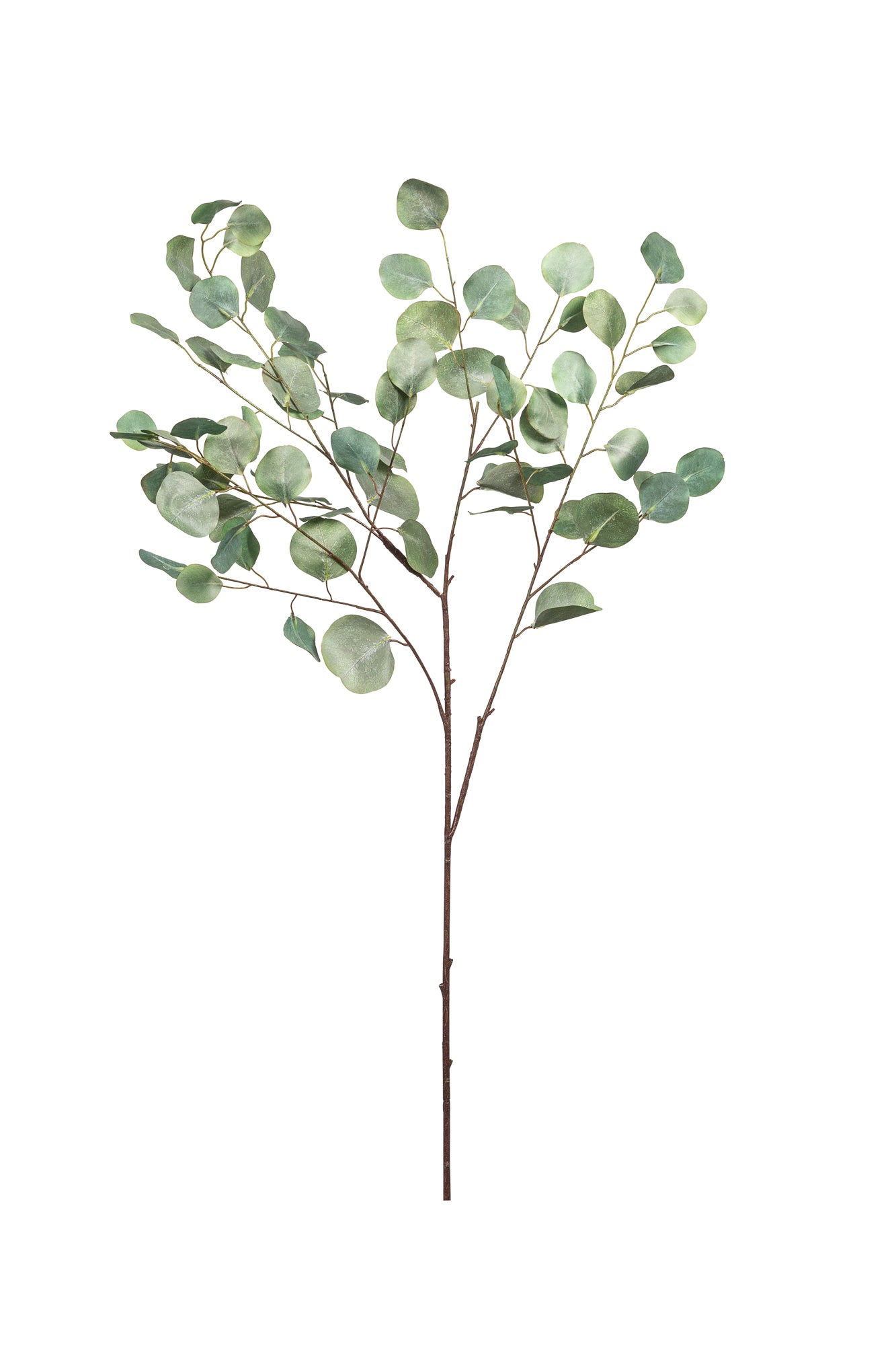 48" Eucalyptus Stem ST1094